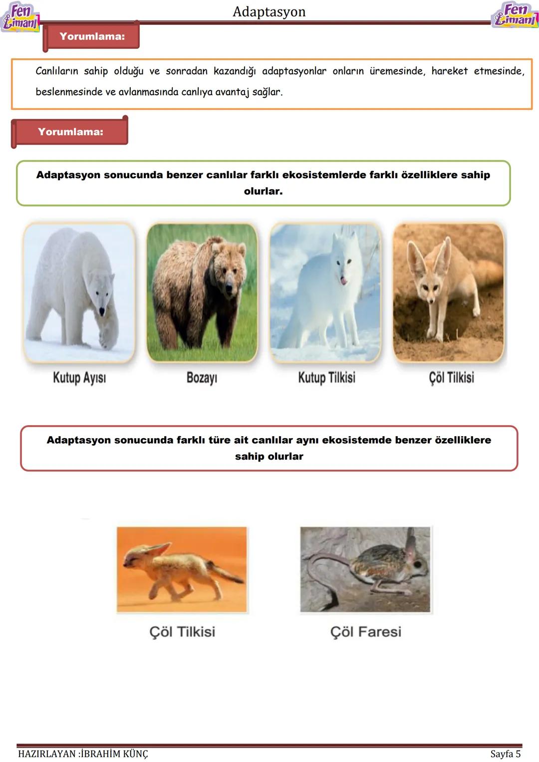 Fen
Liman
Adaptasyon
Fen
iman
ADAPTASYON
Konu / Kavramlar: Adaptasyon, doğal seçilim, varyasyon
F.8.2.4.1. Canlıların yaşadıkları çevreye u
