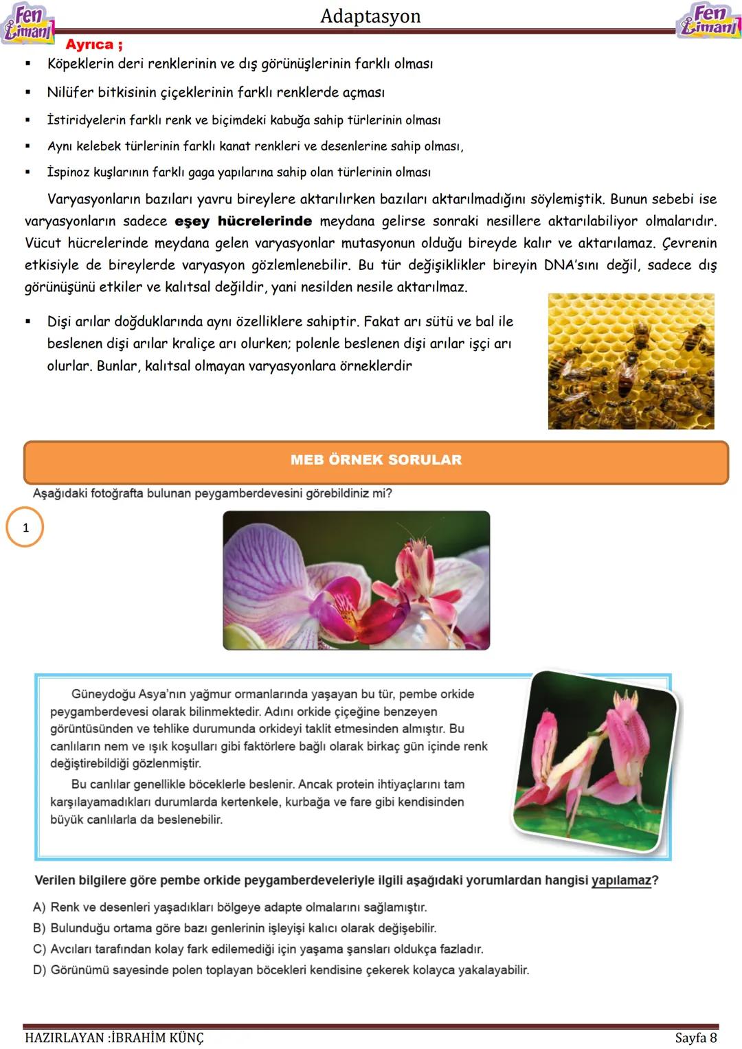 Fen
Liman
Adaptasyon
Fen
iman
ADAPTASYON
Konu / Kavramlar: Adaptasyon, doğal seçilim, varyasyon
F.8.2.4.1. Canlıların yaşadıkları çevreye u