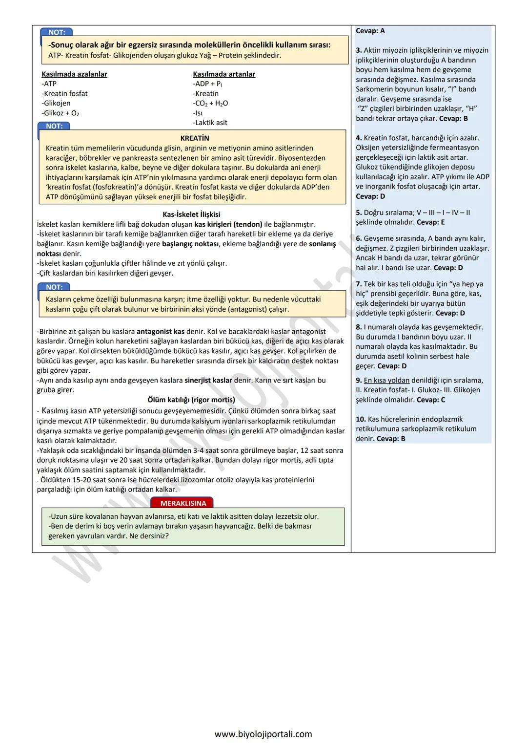 ÇİZGİKLİ KASLARIN KASILMA MEKANİZMASI
11. SINIF ÜNİTE, KONU, KAZANIM VE AÇIKLAMALARI
11.1.2. Destek ve Hareket Sistemi
Anahtar Kavramlar
e