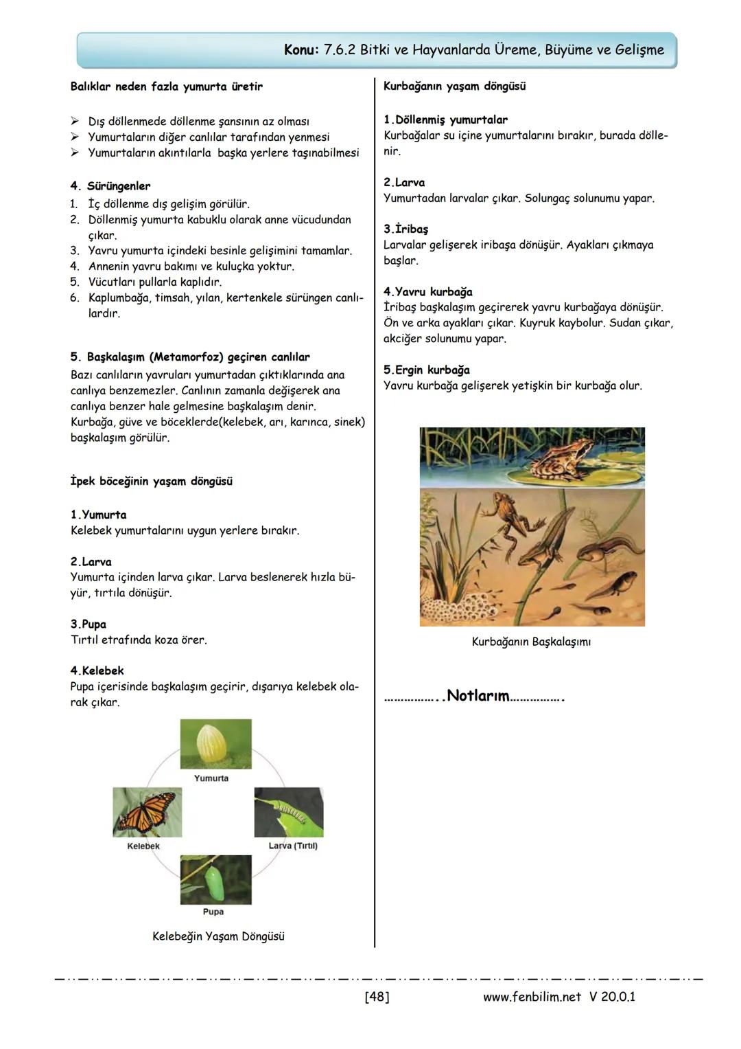 7.Sınıf Fen Bilimleri
Ders Notları
Barış ZEREN
Fen Bilimleri Öğretmeni
www.fenbilim.net V 20.0.1 1.Ünite: Güneş Sistemi ve Ötesi
Konu: 7.1.1