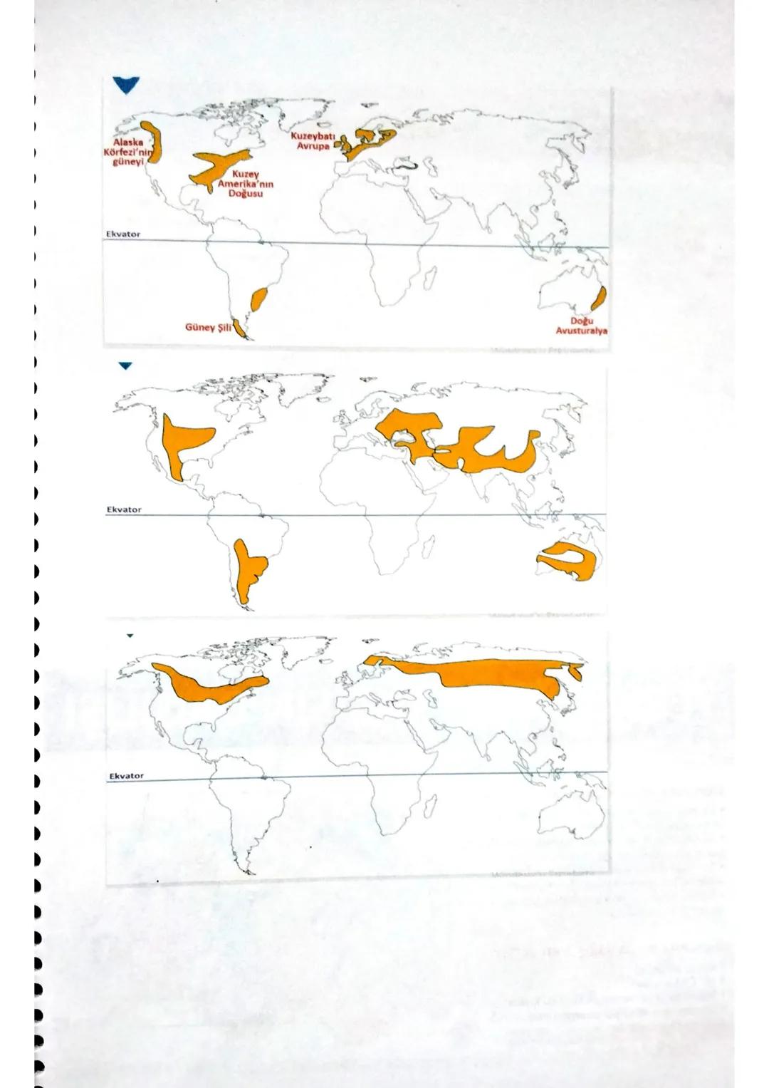 YERYÜZÜNDEKİ BAŞLICA İKLİM TİPLERİ
Kutup
Kutup altı
Akdeniz
Çöl
Sert karasal
Yazları yağışlı tropikal
Ilıman karasal
Muson
Okyanusal
Ekvato