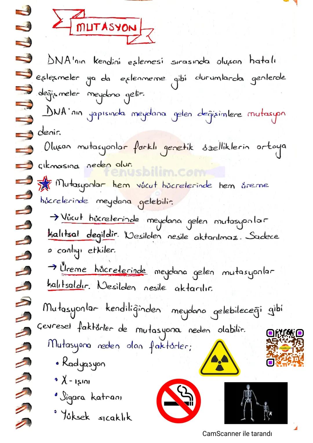 # MUTASYON
DNA'nın kendini eşlemesi sırasında oluşan hatalı
eşleşmeler ya da eşlenmeme gibi durumlarda genlerde
değişmeler meydono gelir.
D