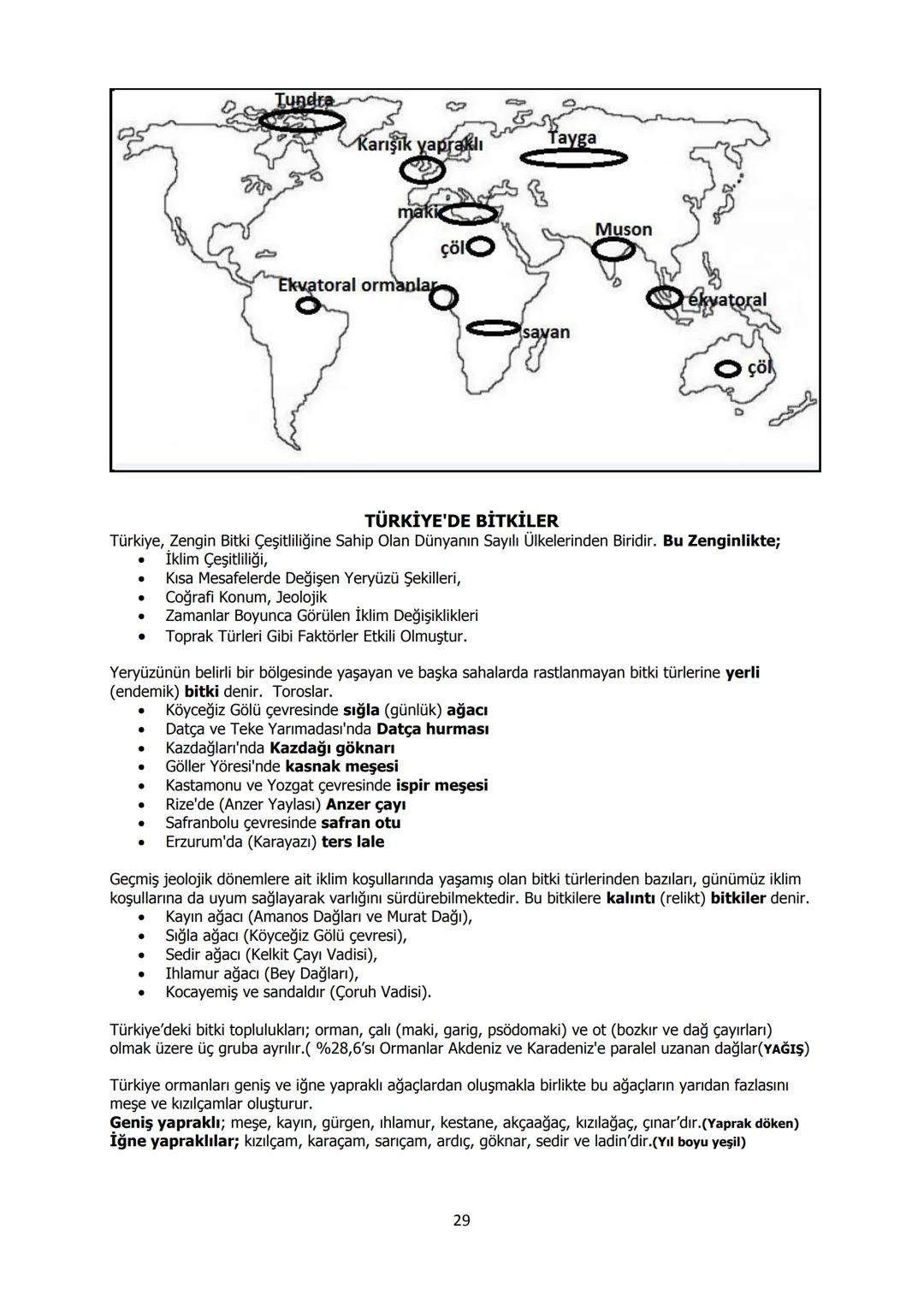10. SINIF COĞRAFYA DERS NOTU -1-
2019-2020
MİLLİ İRADE
KIZ ANADOLU İMAM HATİP LİSESİ
FEN VE SOSYAL BİLİMLER PROJE OKULU
Avrasya
Levhası
Anad