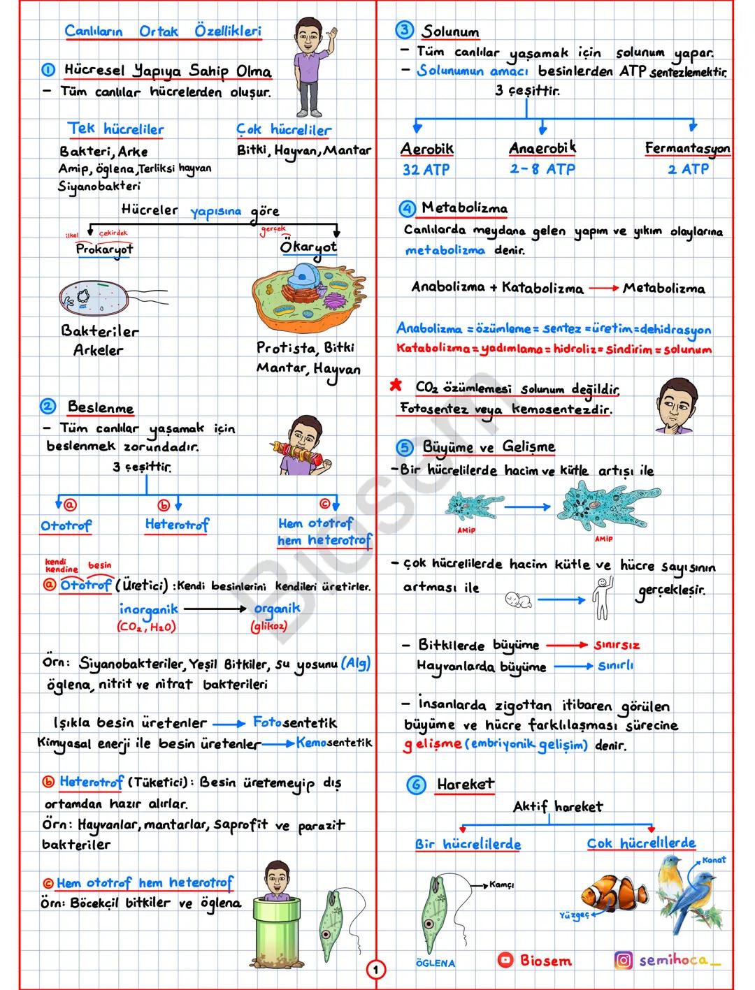 Canlıların ortak özellikleri -9.sınıf
