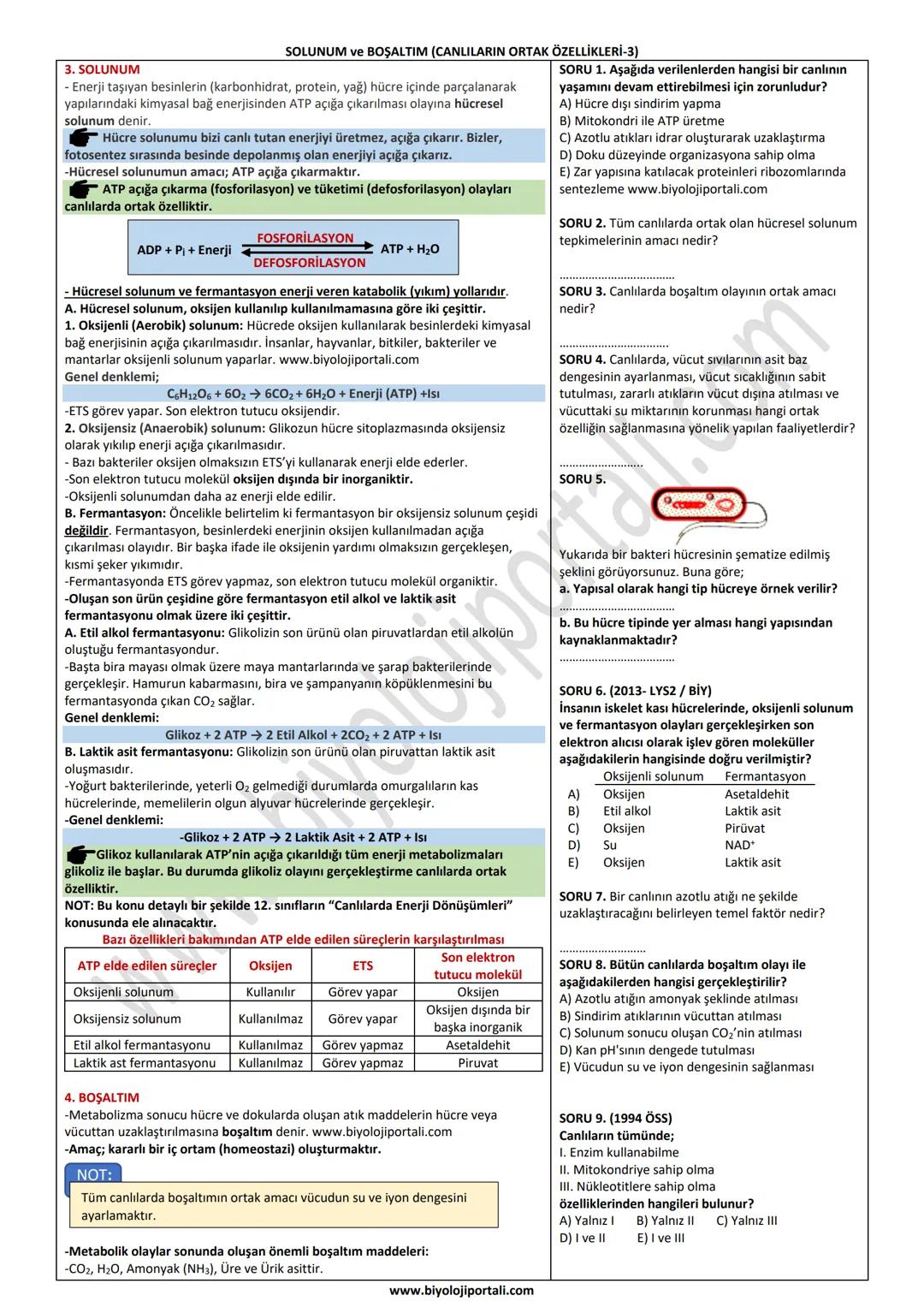 SOLUNUM ve BOŞALTIM (CANLILARIN ORTAK ÖZELLİKLERİ-3)
3. SOLUNUM
- Enerji taşıyan besinlerin (karbonhidrat, protein, yağ) hücre içinde parçal