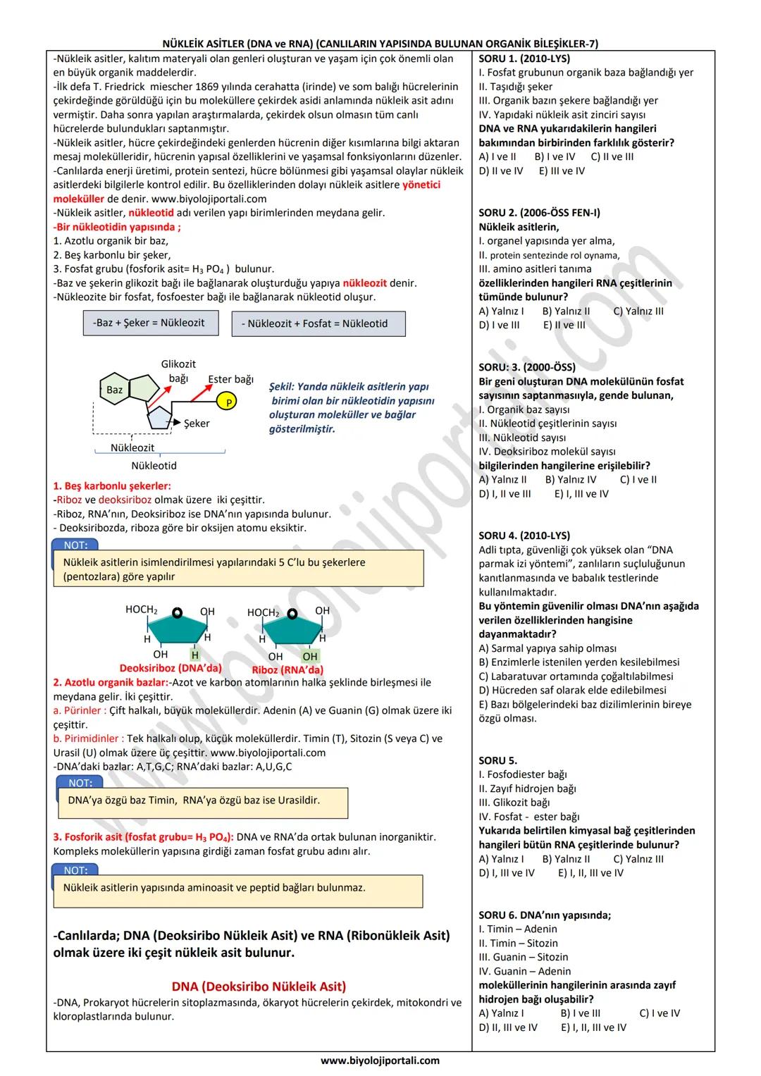 NÜKLEİK ASİTLER (DNA ve RNA) (CANLILARIN YAPISINDA BULUNAN ORGANİK BİLEŞİKLER-7)
-Nükleik asitler, kalıtım materyali olan genleri oluşturan