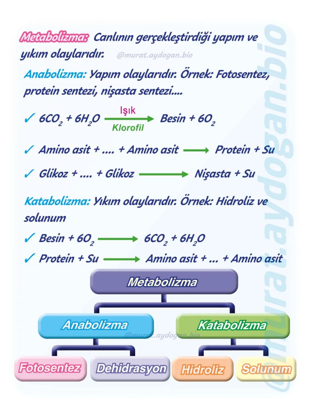 9.sınıf
Görsellerle tekrar -10
2024-2025
1. Tema: Yaşam
Canlıların
Özellikleri - 1
@murat.aydogan.bio Hücresel Yapı: En küçük canlı bir
