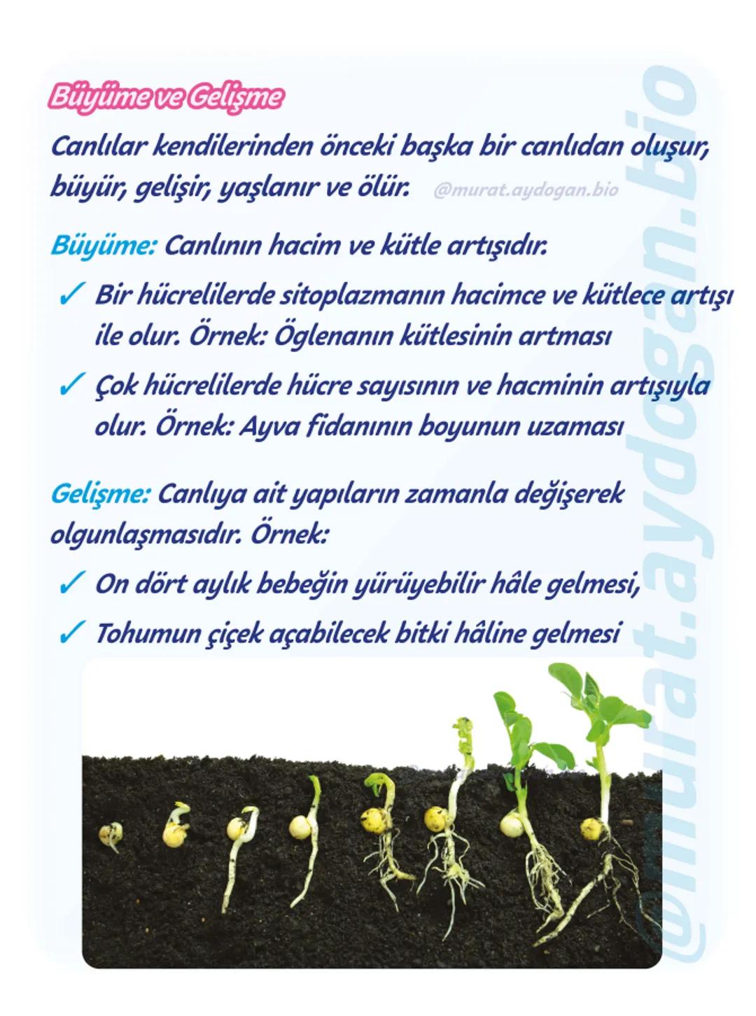 9.sınıf
Görsellerle tekrar -10
2024-2025
1. Tema: Yaşam
Canlıların
Özellikleri - 1
@murat.aydogan.bio Hücresel Yapı: En küçük canlı bir
