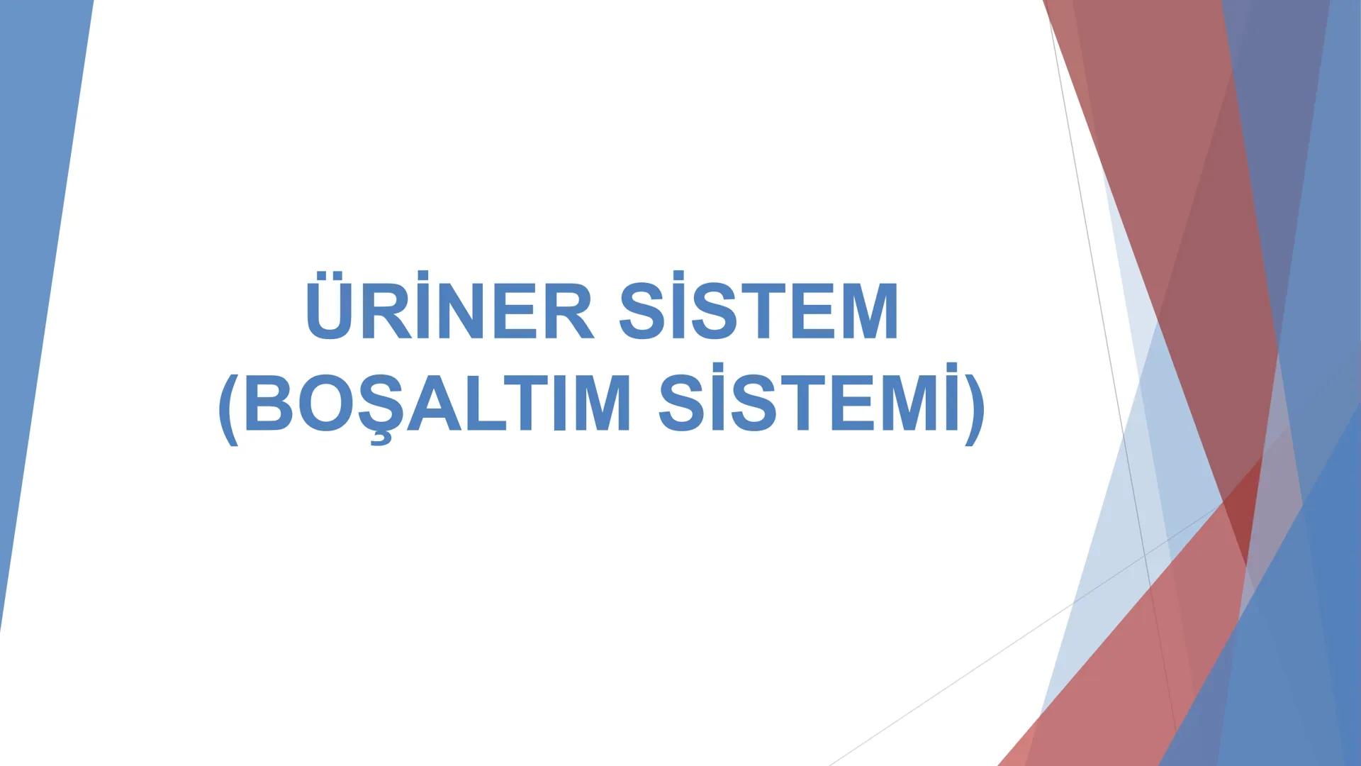 ÜRİNER SİSTEM
(BOŞALTIM SİSTEMİ) Boşaltım Sistemi
➤ Canlıların metabolizmaları sonucu oluşan zararlı atık
maddelerin veya işe yaramayan mole