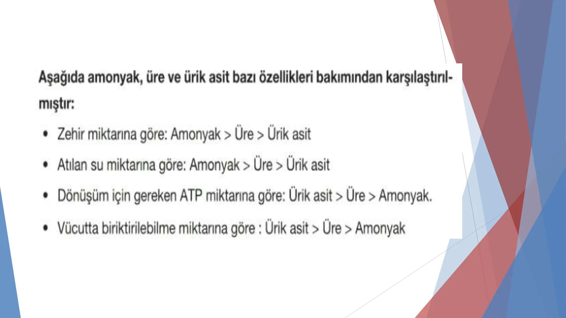 ÜRİNER SİSTEM
(BOŞALTIM SİSTEMİ) Boşaltım Sistemi
➤ Canlıların metabolizmaları sonucu oluşan zararlı atık
maddelerin veya işe yaramayan mole