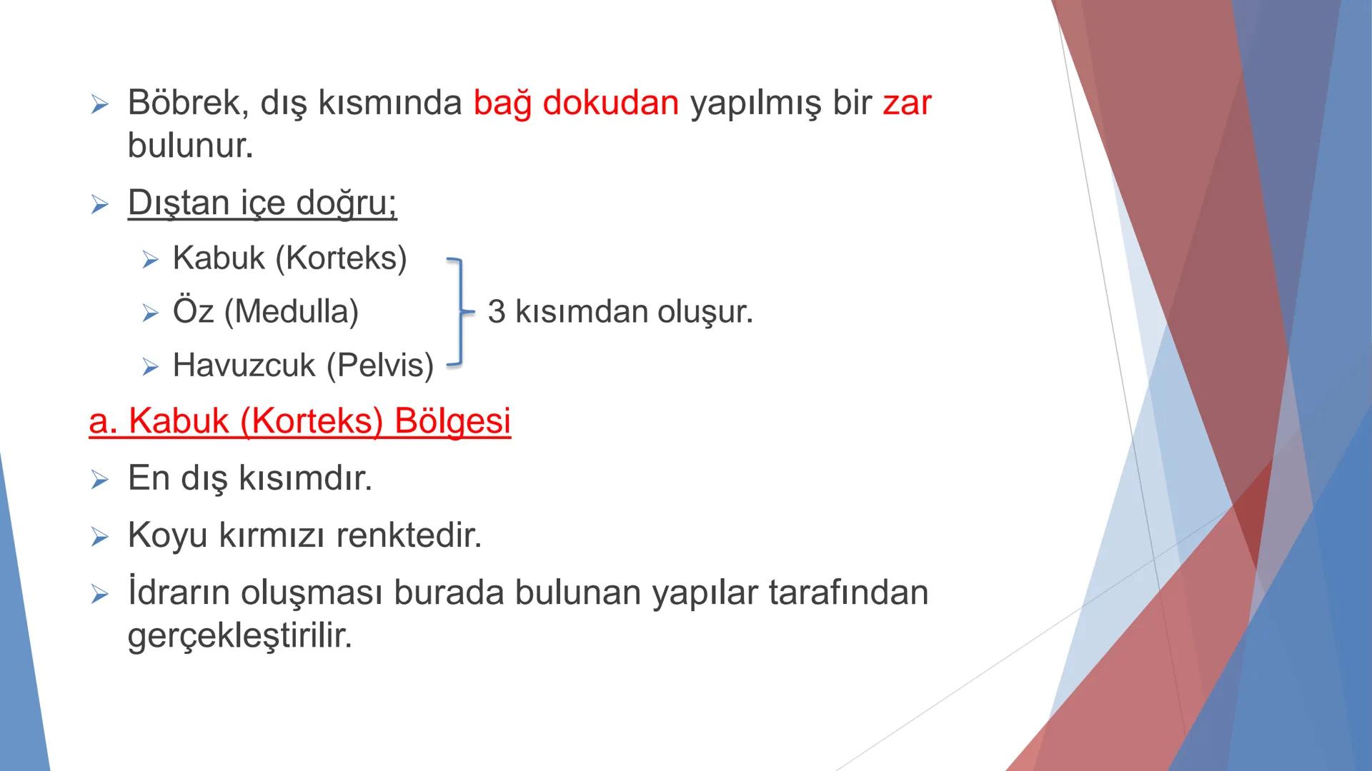 ÜRİNER SİSTEM
(BOŞALTIM SİSTEMİ) Boşaltım Sistemi
➤ Canlıların metabolizmaları sonucu oluşan zararlı atık
maddelerin veya işe yaramayan mole