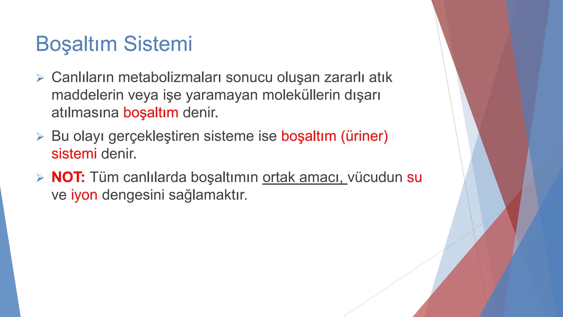ÜRİNER SİSTEM
(BOŞALTIM SİSTEMİ) Boşaltım Sistemi
➤ Canlıların metabolizmaları sonucu oluşan zararlı atık
maddelerin veya işe yaramayan mole