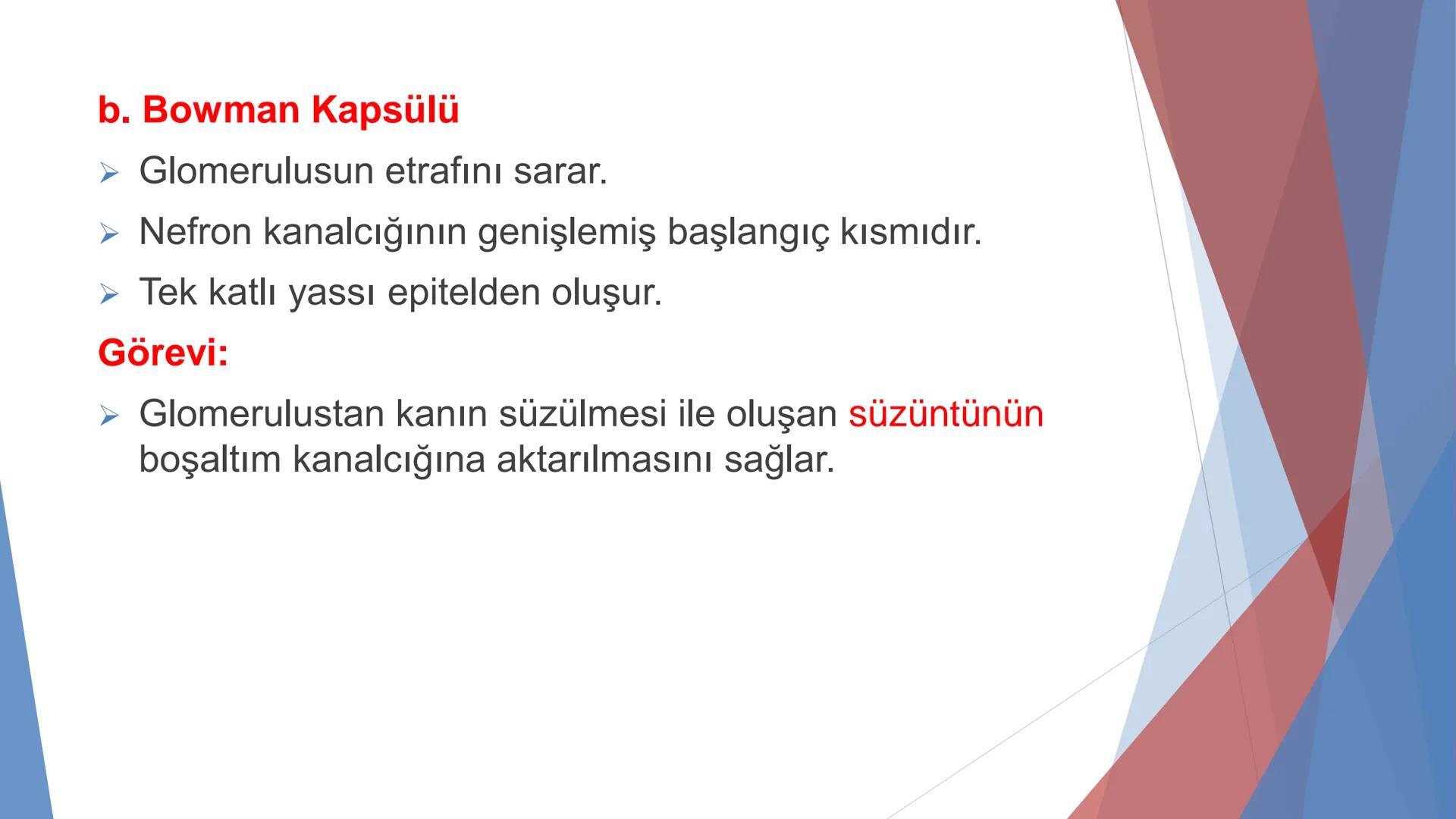 ÜRİNER SİSTEM
(BOŞALTIM SİSTEMİ) Boşaltım Sistemi
➤ Canlıların metabolizmaları sonucu oluşan zararlı atık
maddelerin veya işe yaramayan mole