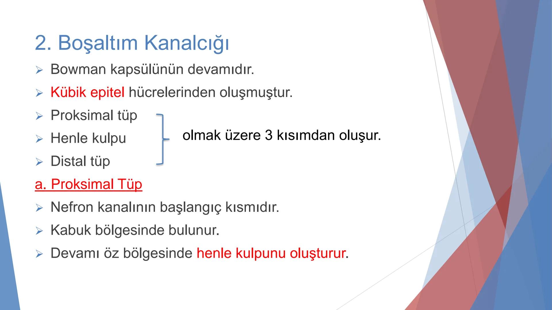 ÜRİNER SİSTEM
(BOŞALTIM SİSTEMİ) Boşaltım Sistemi
➤ Canlıların metabolizmaları sonucu oluşan zararlı atık
maddelerin veya işe yaramayan mole