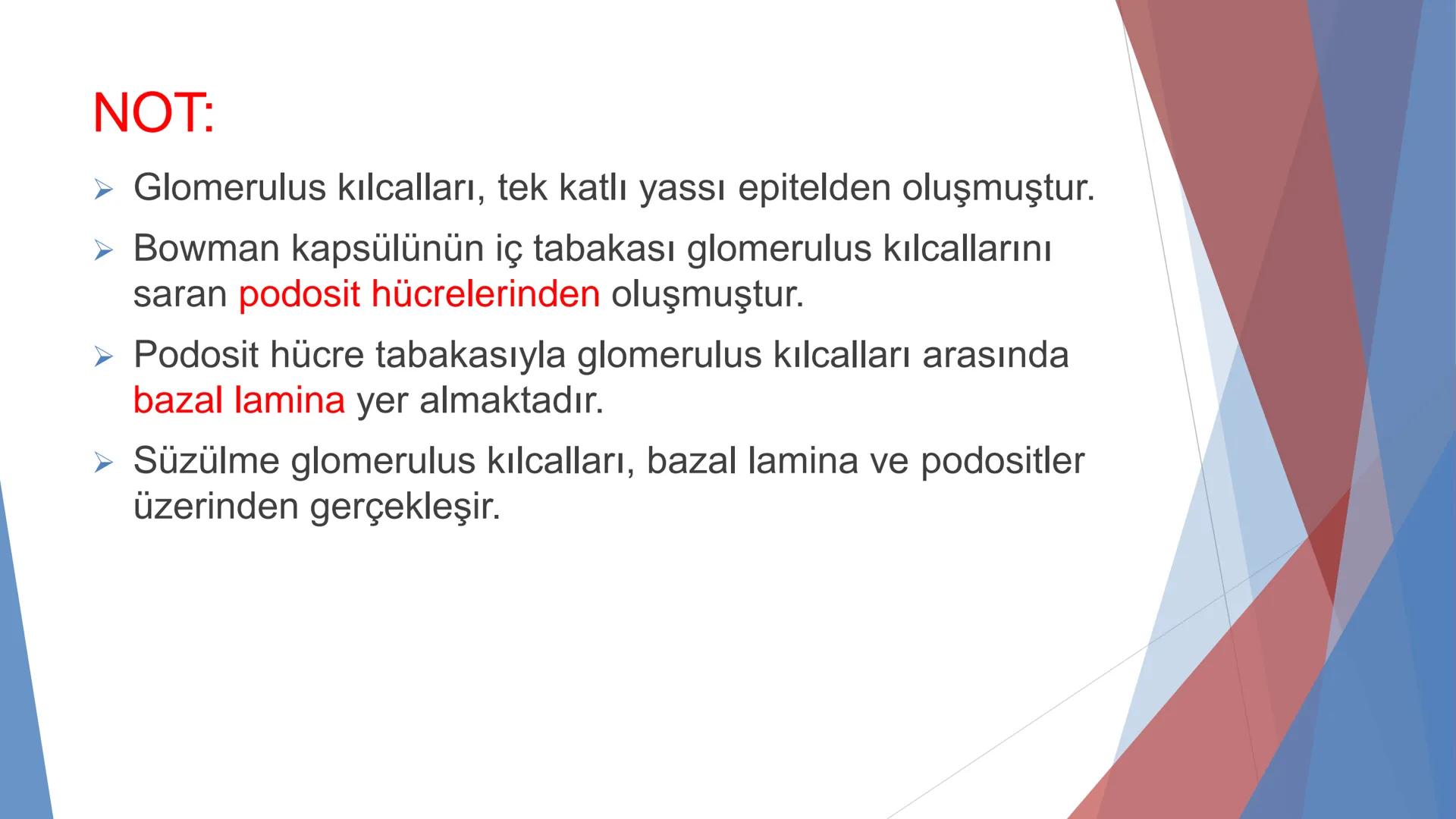 ÜRİNER SİSTEM
(BOŞALTIM SİSTEMİ) Boşaltım Sistemi
➤ Canlıların metabolizmaları sonucu oluşan zararlı atık
maddelerin veya işe yaramayan mole