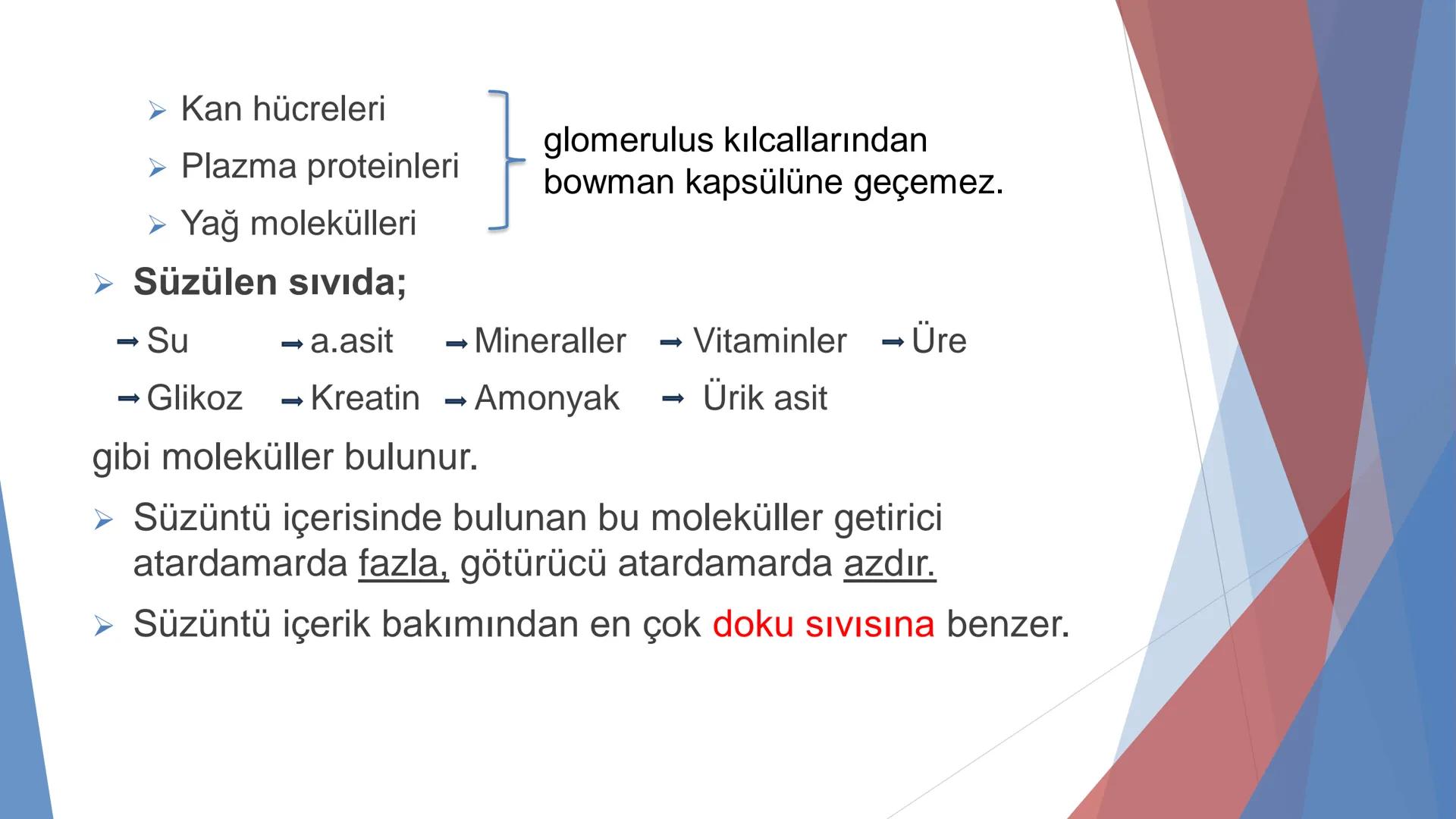 ÜRİNER SİSTEM
(BOŞALTIM SİSTEMİ) Boşaltım Sistemi
➤ Canlıların metabolizmaları sonucu oluşan zararlı atık
maddelerin veya işe yaramayan mole