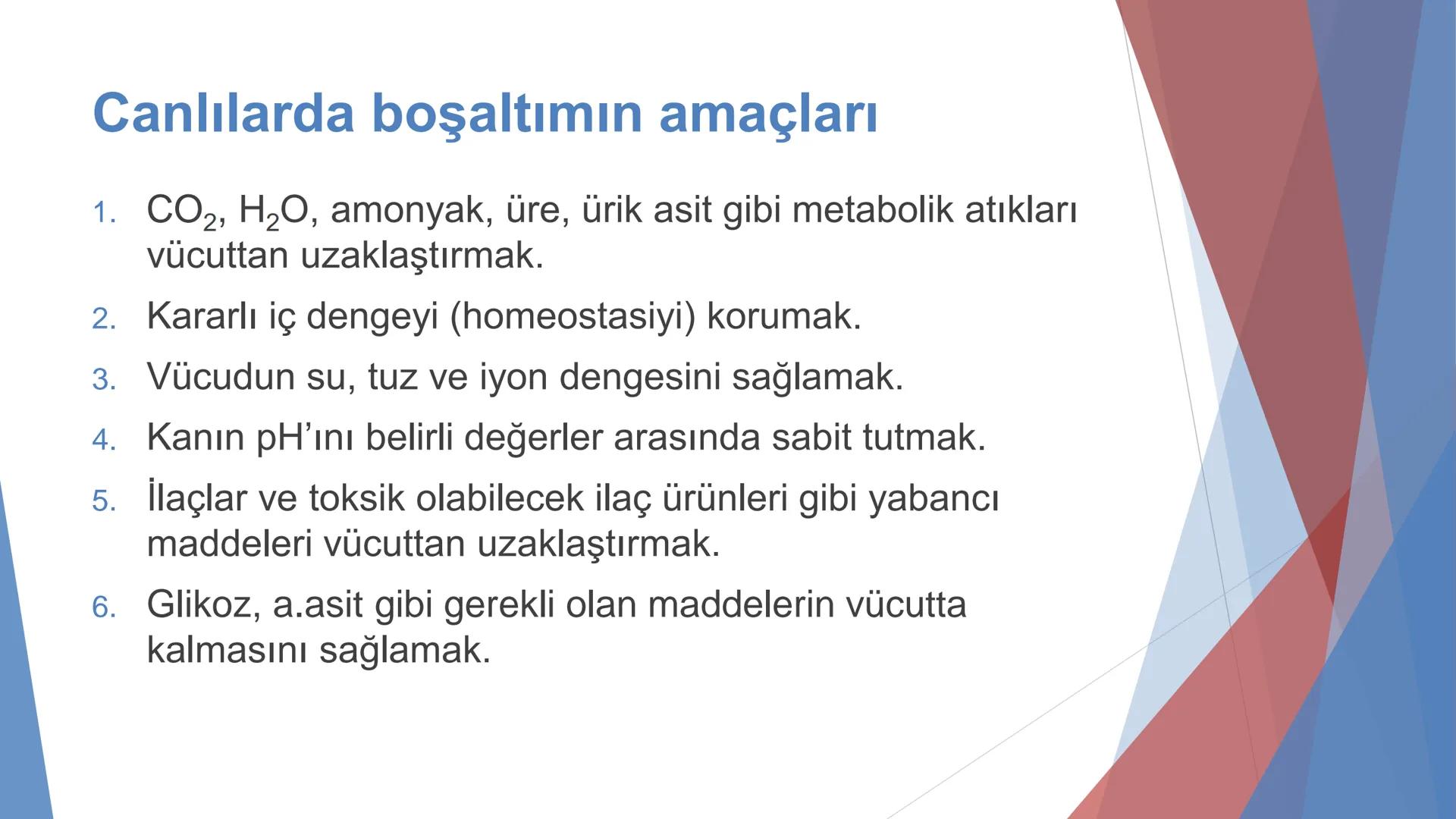 ÜRİNER SİSTEM
(BOŞALTIM SİSTEMİ) Boşaltım Sistemi
➤ Canlıların metabolizmaları sonucu oluşan zararlı atık
maddelerin veya işe yaramayan mole