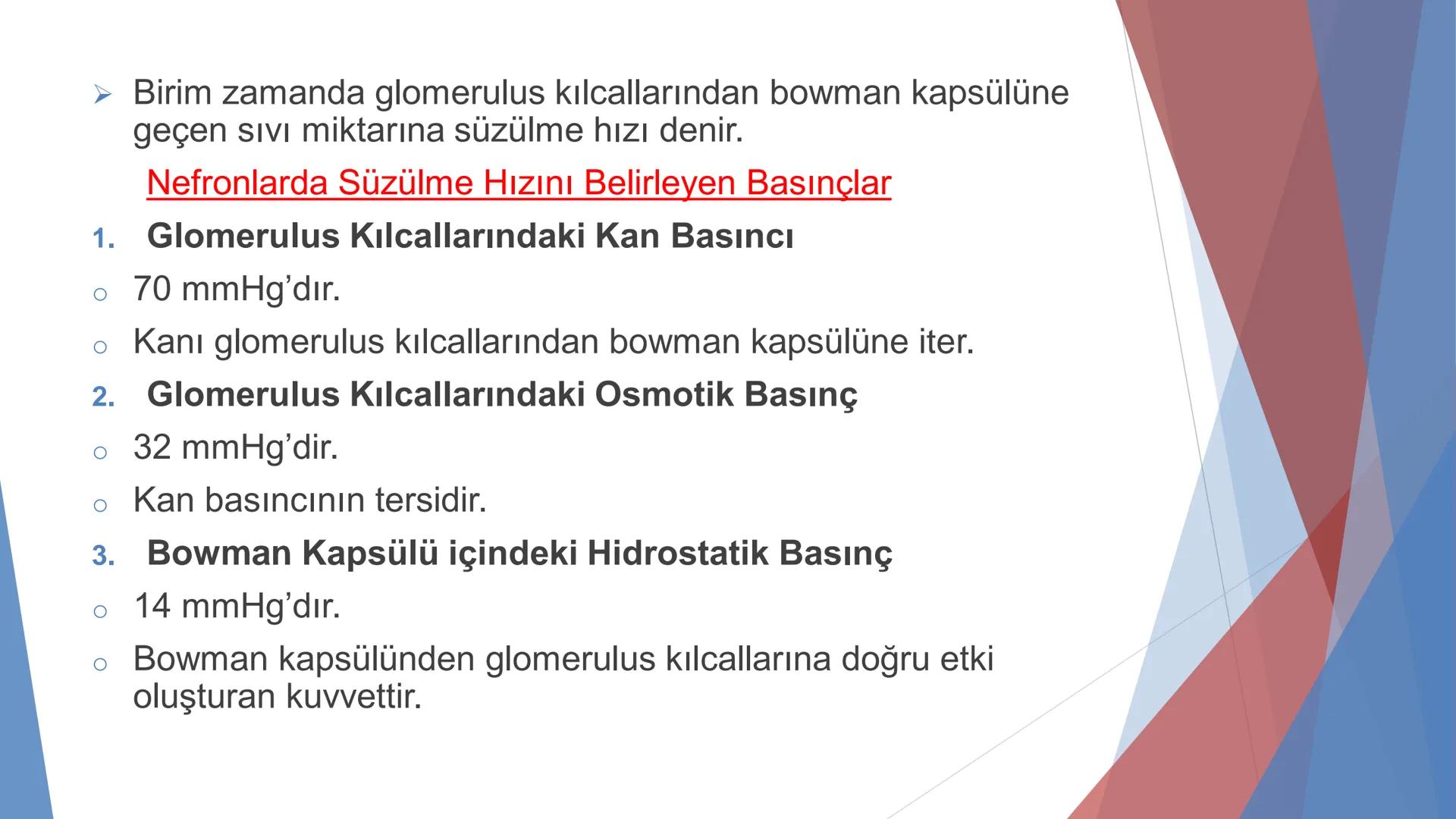 ÜRİNER SİSTEM
(BOŞALTIM SİSTEMİ) Boşaltım Sistemi
➤ Canlıların metabolizmaları sonucu oluşan zararlı atık
maddelerin veya işe yaramayan mole
