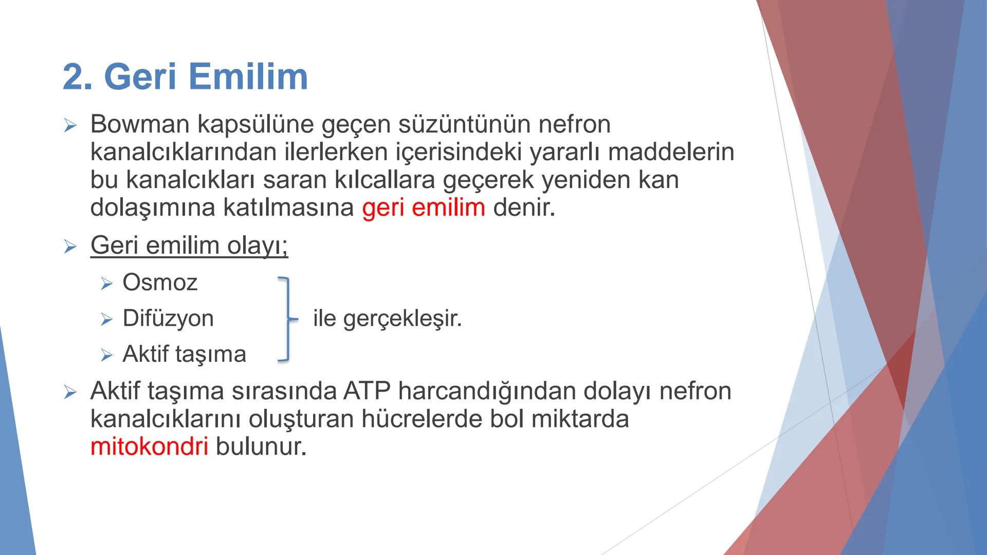 ÜRİNER SİSTEM
(BOŞALTIM SİSTEMİ) Boşaltım Sistemi
➤ Canlıların metabolizmaları sonucu oluşan zararlı atık
maddelerin veya işe yaramayan mole