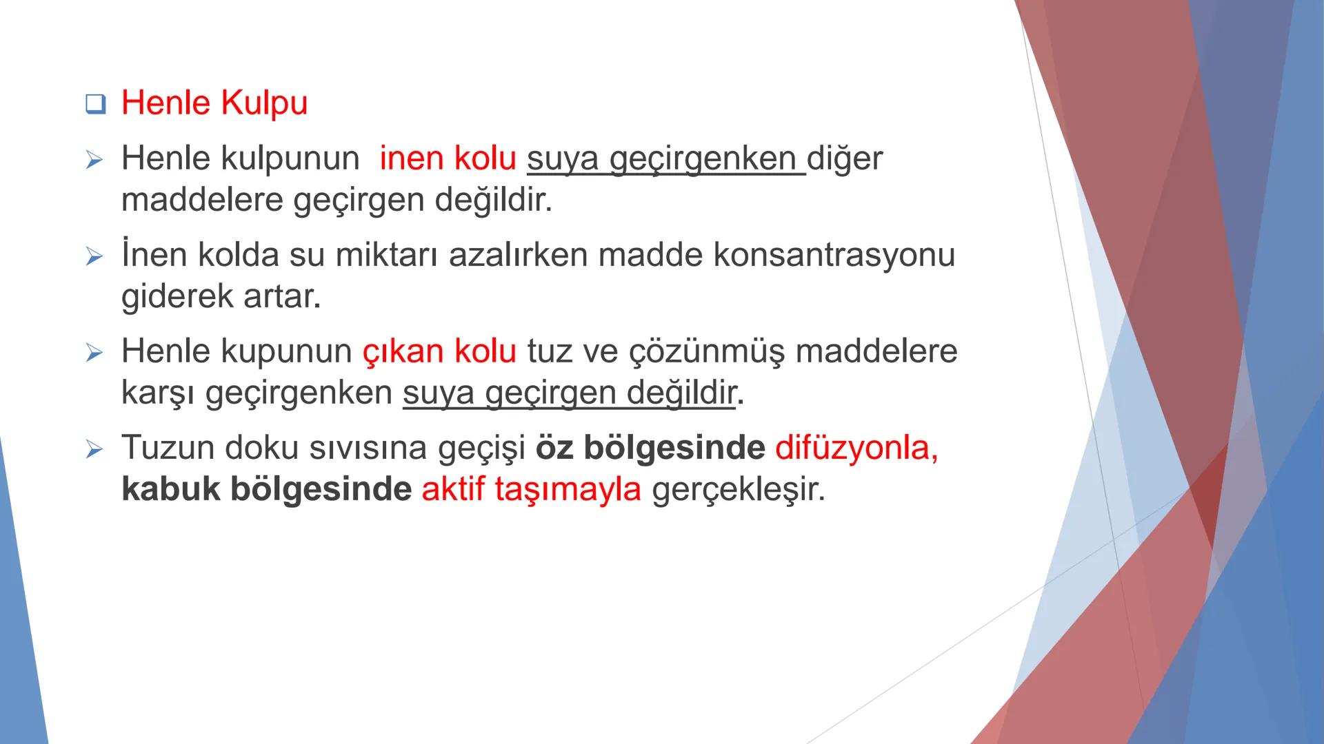 ÜRİNER SİSTEM
(BOŞALTIM SİSTEMİ) Boşaltım Sistemi
➤ Canlıların metabolizmaları sonucu oluşan zararlı atık
maddelerin veya işe yaramayan mole