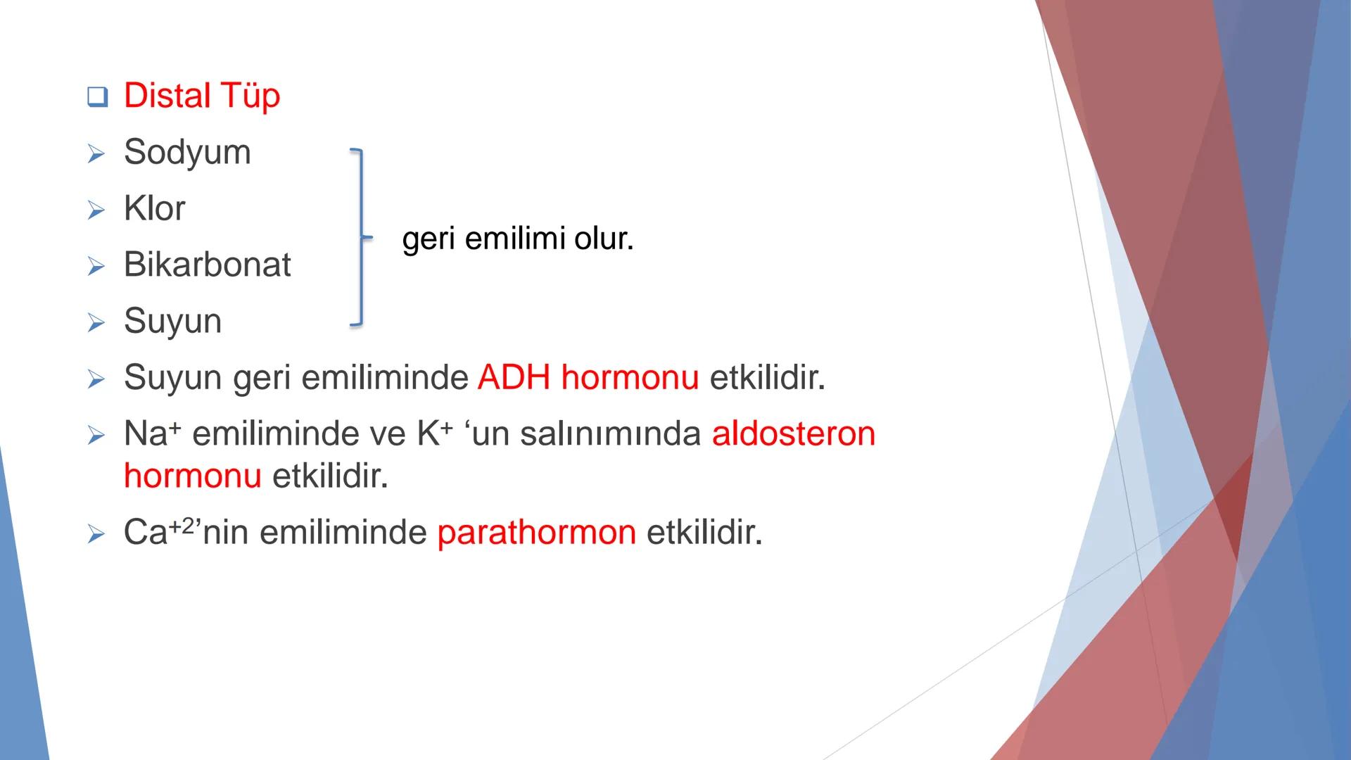 ÜRİNER SİSTEM
(BOŞALTIM SİSTEMİ) Boşaltım Sistemi
➤ Canlıların metabolizmaları sonucu oluşan zararlı atık
maddelerin veya işe yaramayan mole