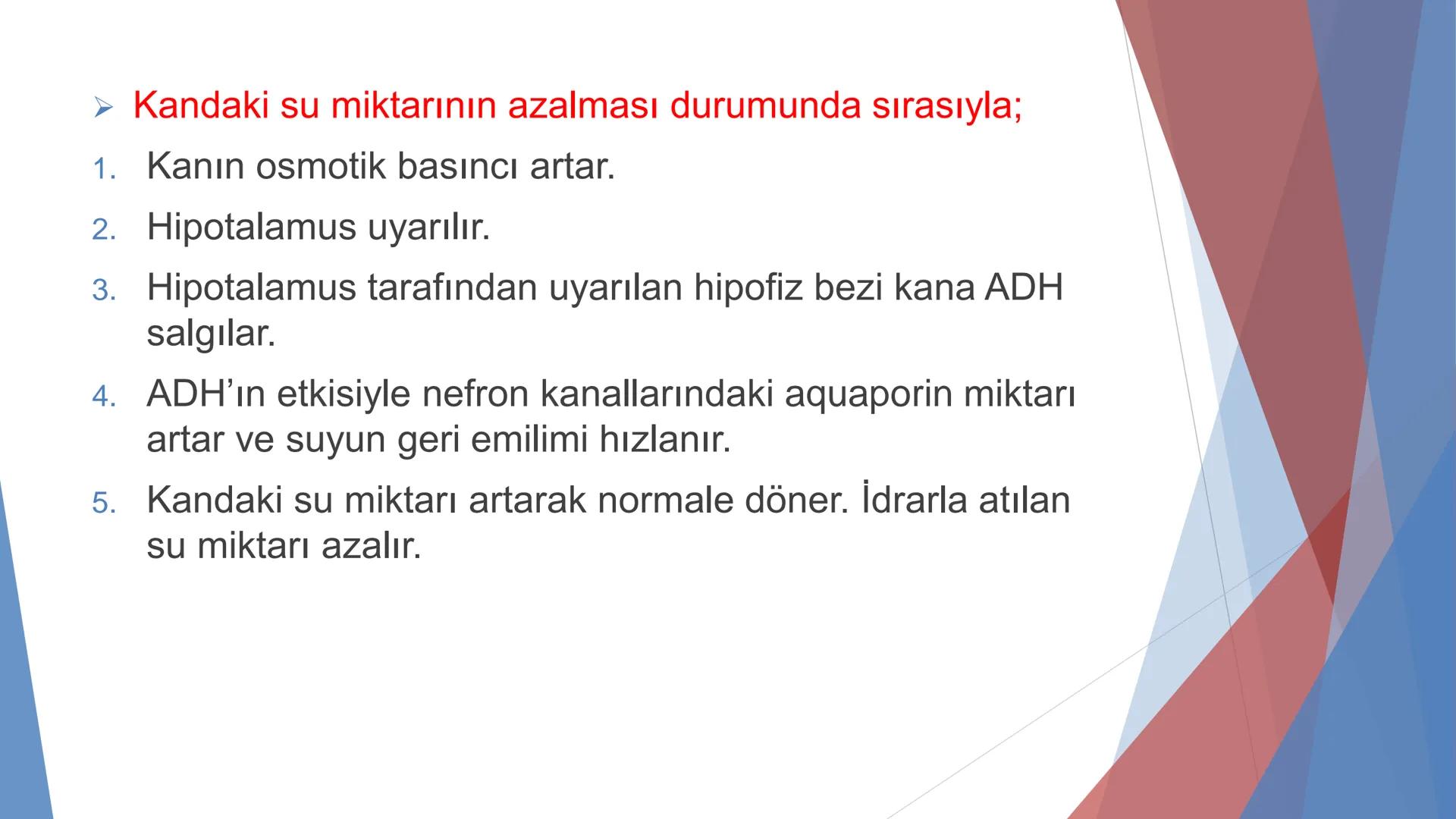 ÜRİNER SİSTEM
(BOŞALTIM SİSTEMİ) Boşaltım Sistemi
➤ Canlıların metabolizmaları sonucu oluşan zararlı atık
maddelerin veya işe yaramayan mole