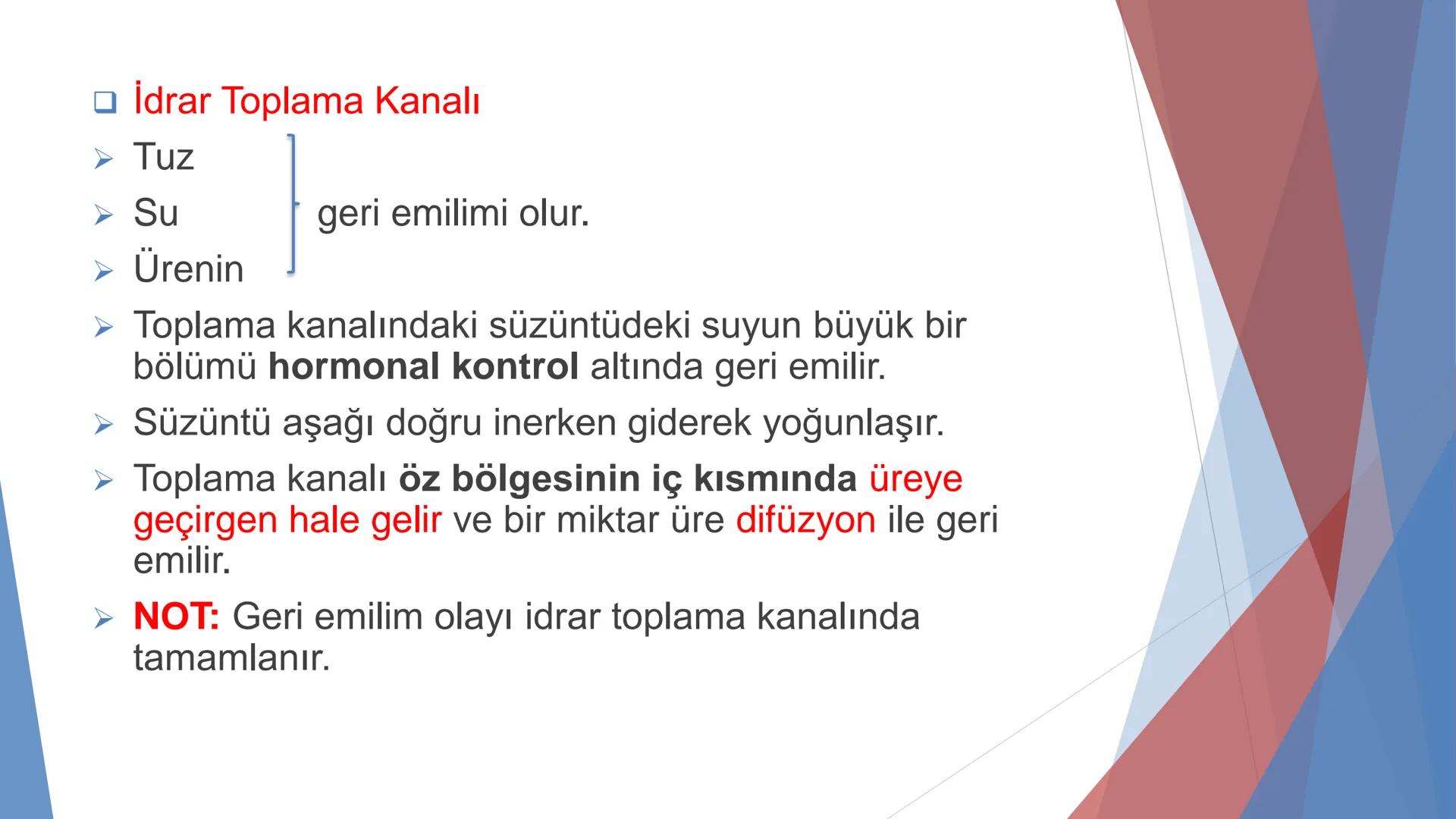 ÜRİNER SİSTEM
(BOŞALTIM SİSTEMİ) Boşaltım Sistemi
➤ Canlıların metabolizmaları sonucu oluşan zararlı atık
maddelerin veya işe yaramayan mole