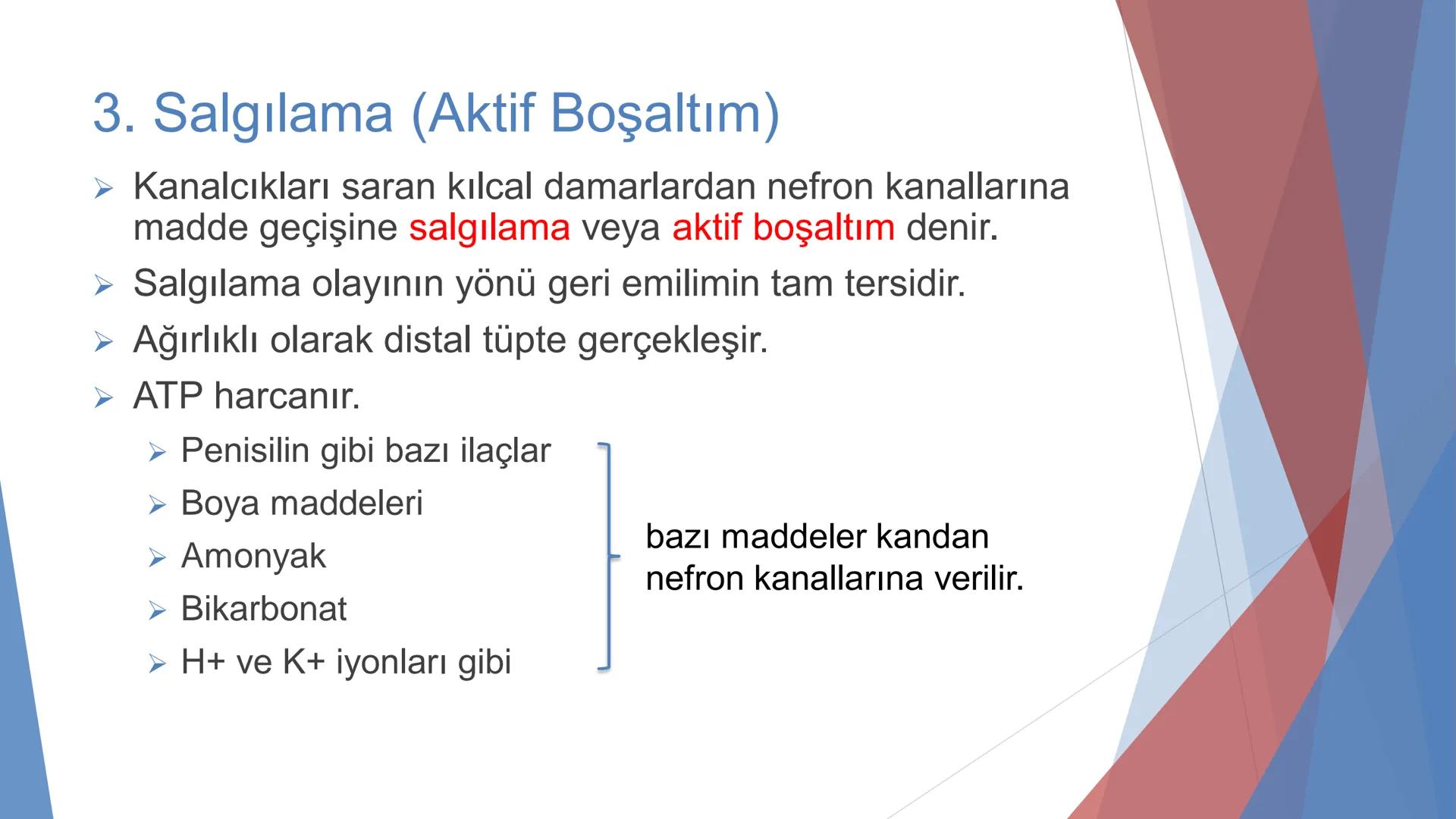 ÜRİNER SİSTEM
(BOŞALTIM SİSTEMİ) Boşaltım Sistemi
➤ Canlıların metabolizmaları sonucu oluşan zararlı atık
maddelerin veya işe yaramayan mole