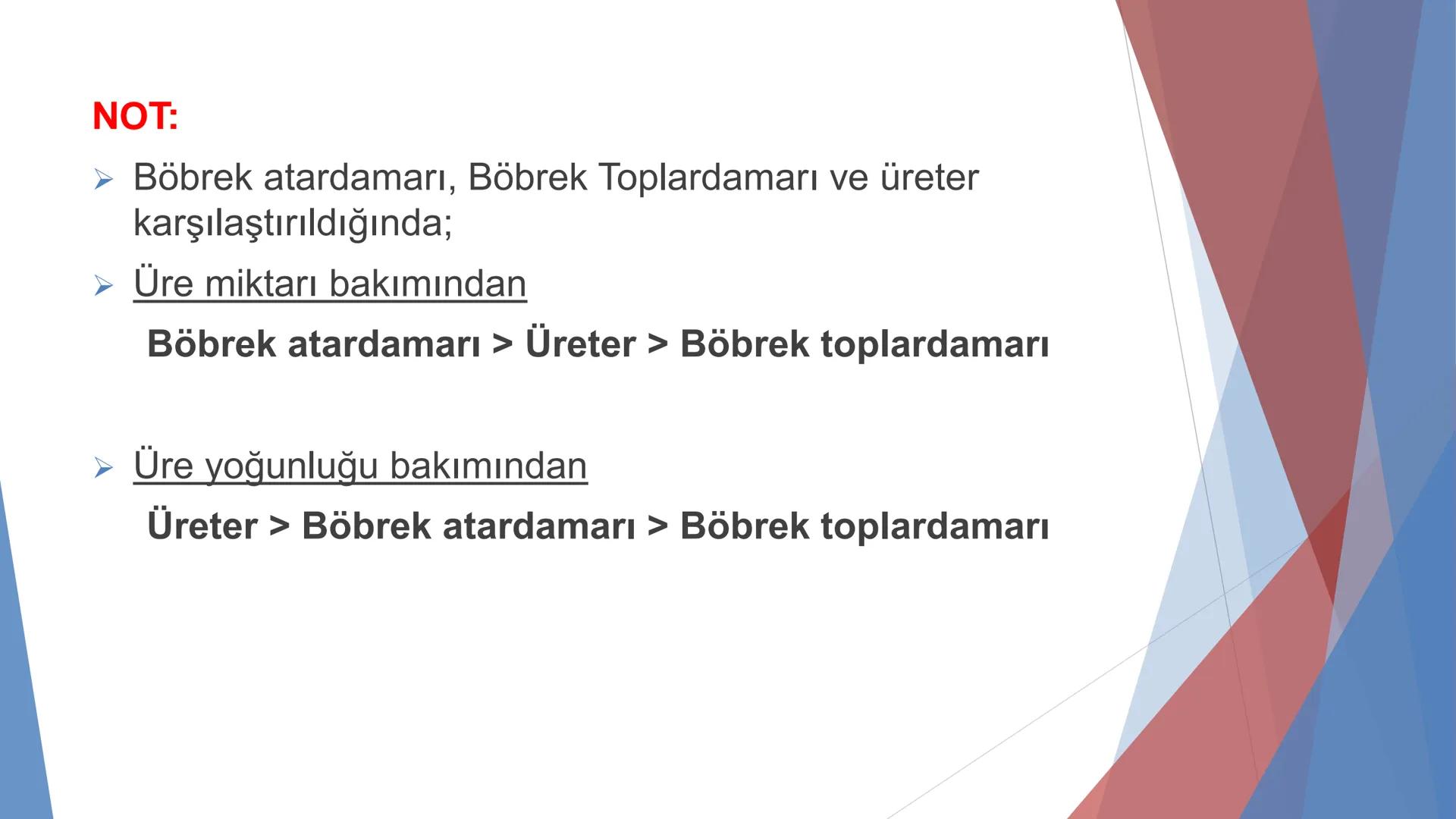 ÜRİNER SİSTEM
(BOŞALTIM SİSTEMİ) Boşaltım Sistemi
➤ Canlıların metabolizmaları sonucu oluşan zararlı atık
maddelerin veya işe yaramayan mole