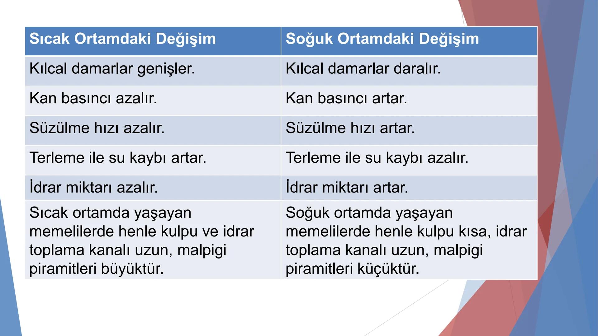 ÜRİNER SİSTEM
(BOŞALTIM SİSTEMİ) Boşaltım Sistemi
➤ Canlıların metabolizmaları sonucu oluşan zararlı atık
maddelerin veya işe yaramayan mole