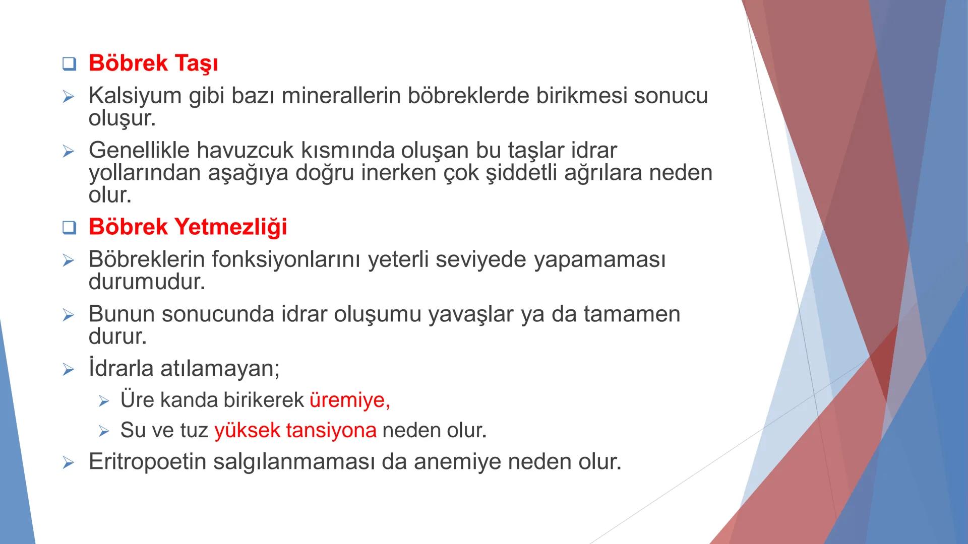 ÜRİNER SİSTEM
(BOŞALTIM SİSTEMİ) Boşaltım Sistemi
➤ Canlıların metabolizmaları sonucu oluşan zararlı atık
maddelerin veya işe yaramayan mole