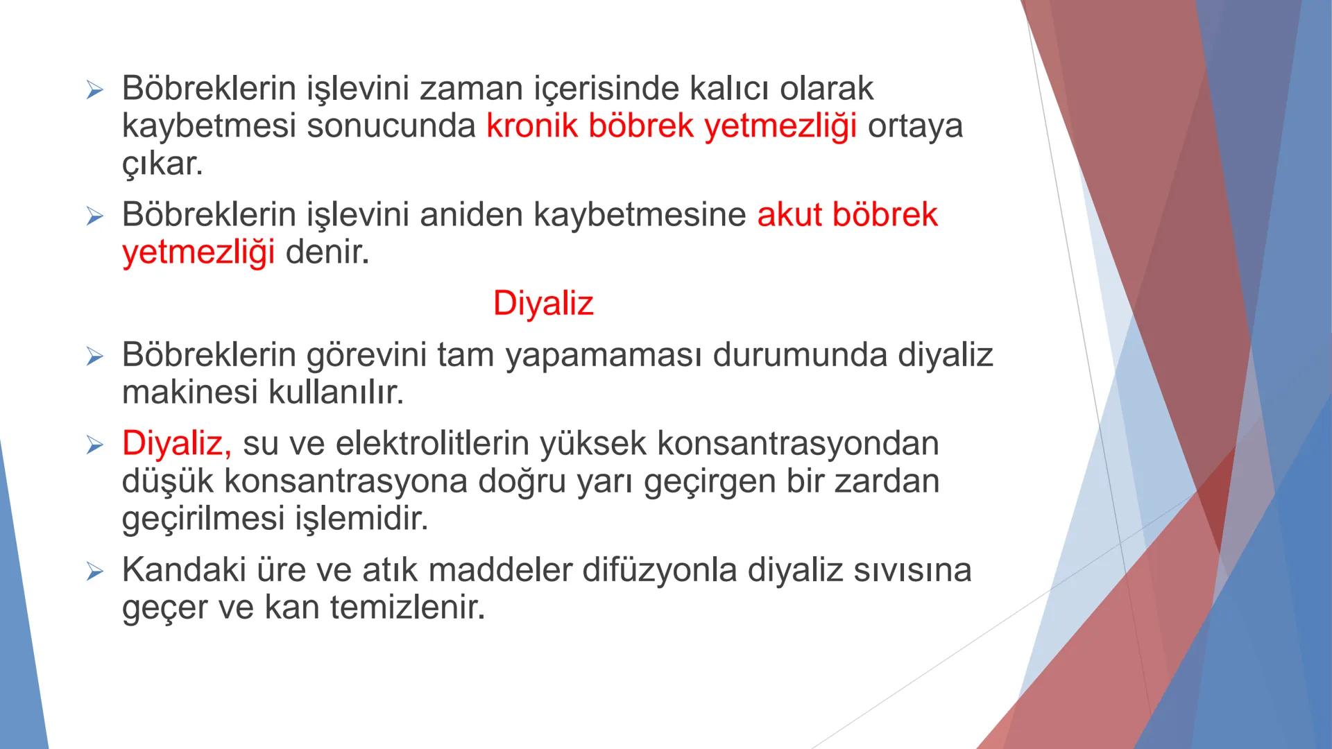 ÜRİNER SİSTEM
(BOŞALTIM SİSTEMİ) Boşaltım Sistemi
➤ Canlıların metabolizmaları sonucu oluşan zararlı atık
maddelerin veya işe yaramayan mole