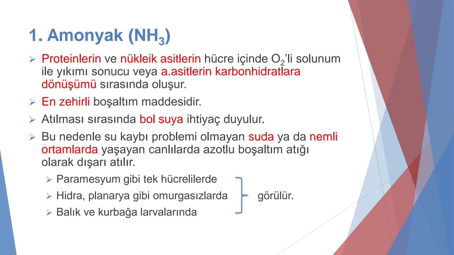 ÜRİNER SİSTEM
(BOŞALTIM SİSTEMİ) Boşaltım Sistemi
➤ Canlıların metabolizmaları sonucu oluşan zararlı atık
maddelerin veya işe yaramayan mole