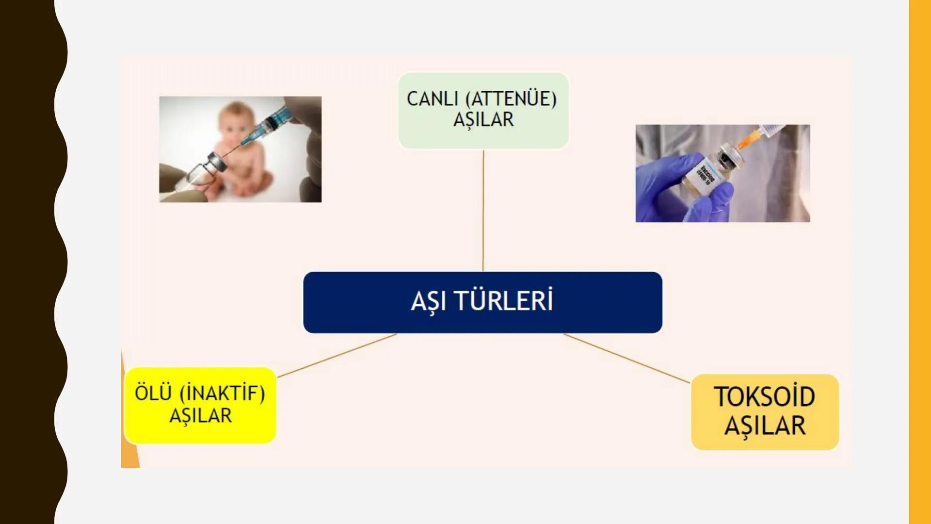 Bağışıklama ve Aşılar
2007
KARABÜK
ÜNİVERSİTESİ
VACCINE
Çocuk Sağlığı ve Hastalıkları Dersi
Öğr. Gör. Tuğçe KOLUKISA Bağışıklık
•
•
İnsan vü