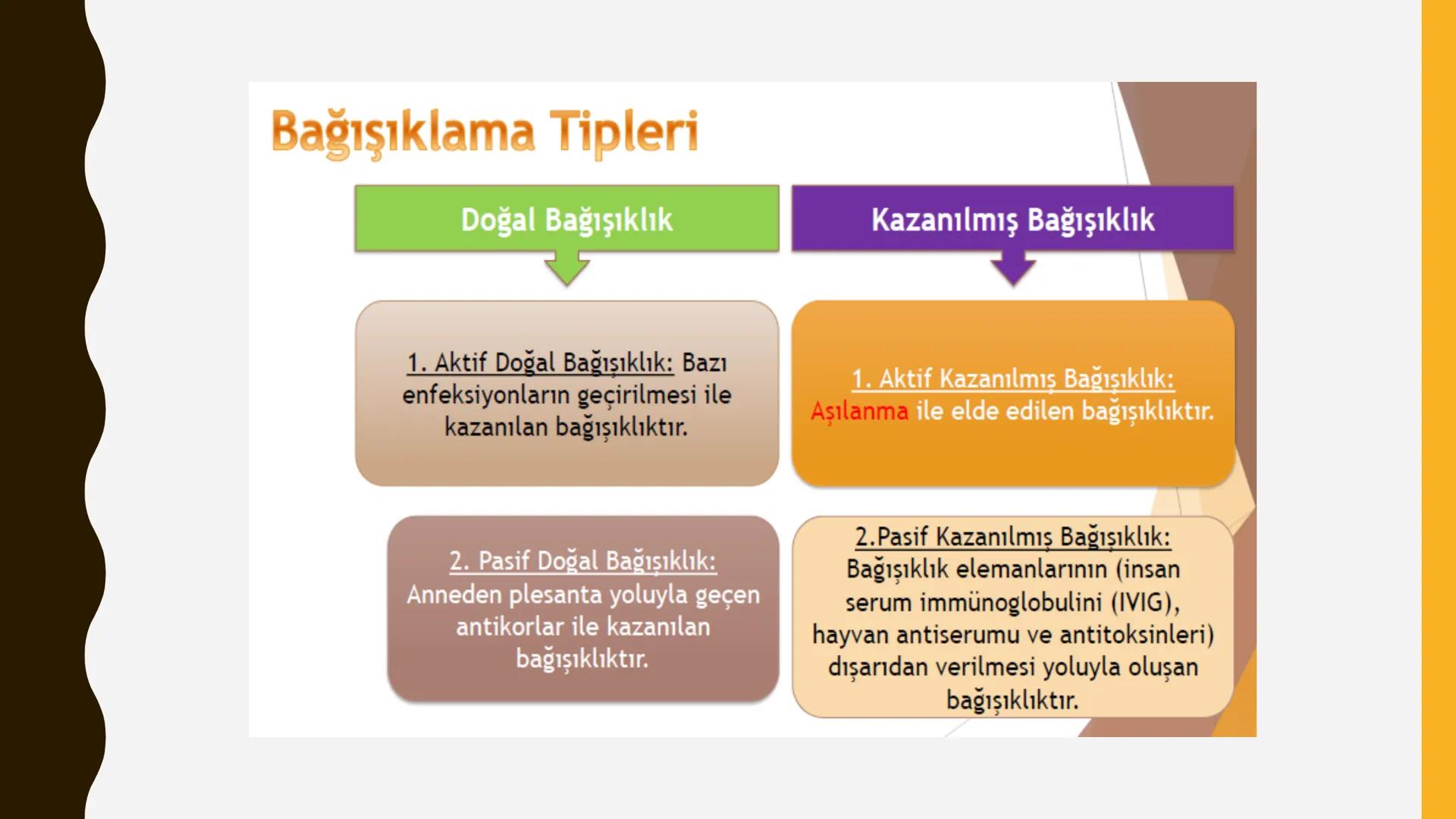 Bağışıklama ve Aşılar
2007
KARABÜK
ÜNİVERSİTESİ
VACCINE
Çocuk Sağlığı ve Hastalıkları Dersi
Öğr. Gör. Tuğçe KOLUKISA Bağışıklık
•
•
İnsan vü