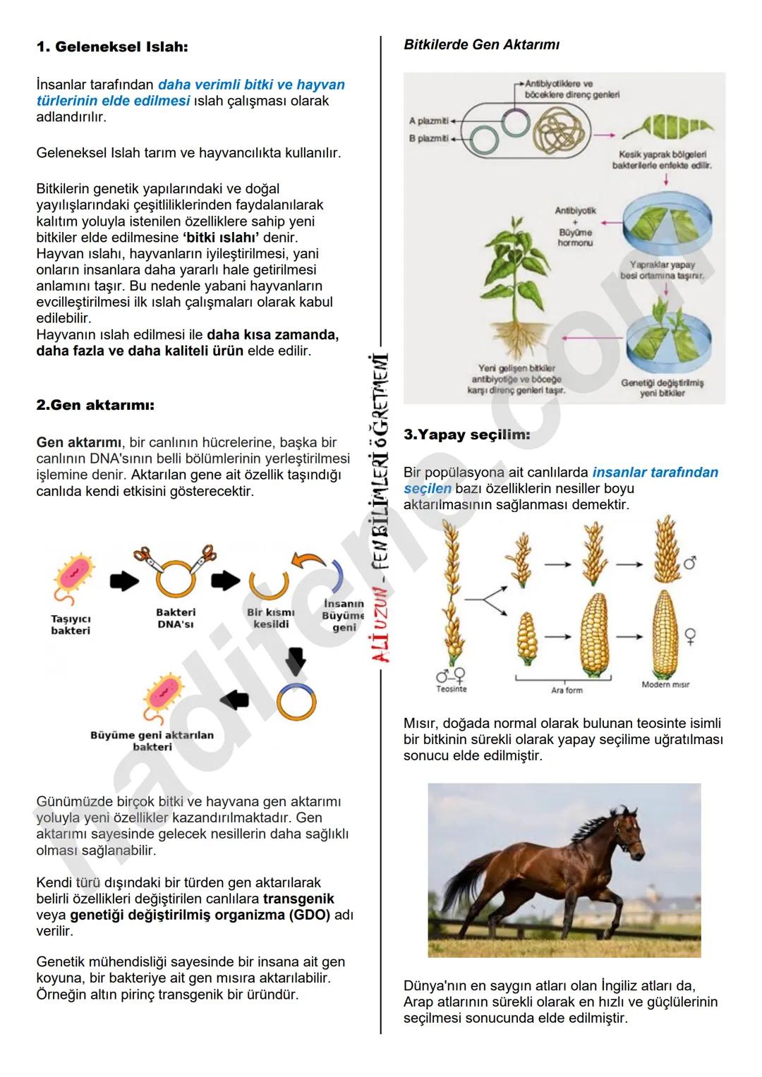 8.SINIF 2. ÜNİTE
DNA VE GENETIK KOD
BİYOTEKNOLOJİ
Biyoteknoloji Nedir?
Ali Hocayla Hadi Fene
www.hadifene.com
Bir dalında erik, diğer da
