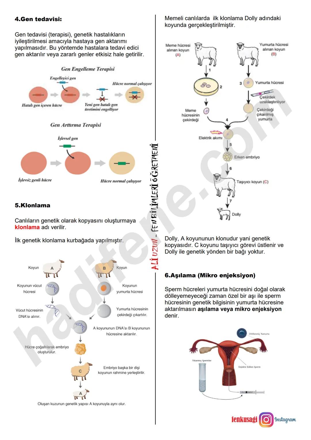 8.SINIF 2. ÜNİTE
DNA VE GENETIK KOD
BİYOTEKNOLOJİ
Biyoteknoloji Nedir?
Ali Hocayla Hadi Fene
www.hadifene.com
Bir dalında erik, diğer da
