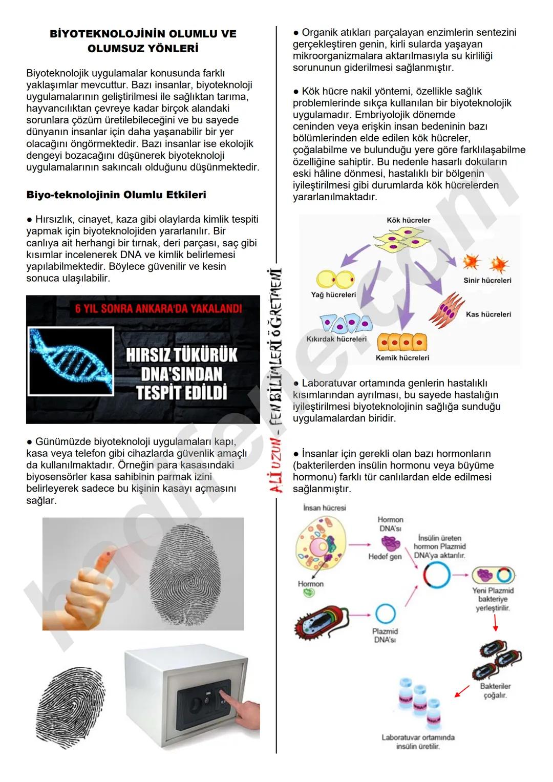 8.SINIF 2. ÜNİTE
DNA VE GENETIK KOD
BİYOTEKNOLOJİ
Biyoteknoloji Nedir?
Ali Hocayla Hadi Fene
www.hadifene.com
Bir dalında erik, diğer da