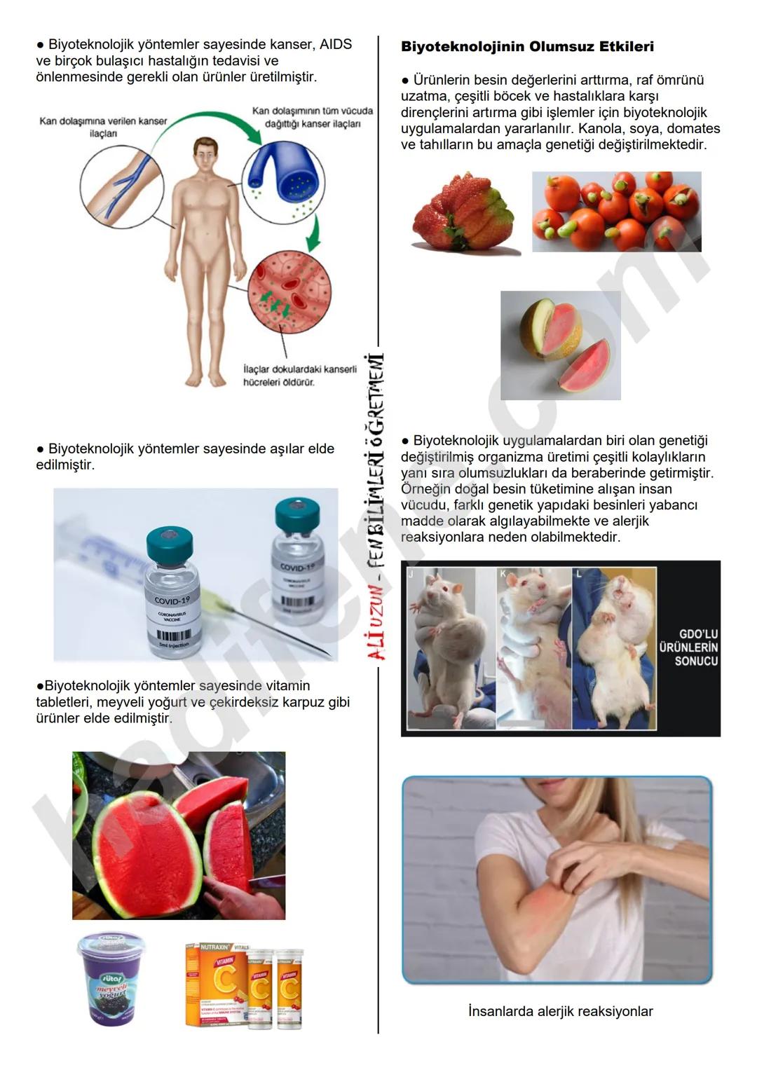 8.SINIF 2. ÜNİTE
DNA VE GENETIK KOD
BİYOTEKNOLOJİ
Biyoteknoloji Nedir?
Ali Hocayla Hadi Fene
www.hadifene.com
Bir dalında erik, diğer da