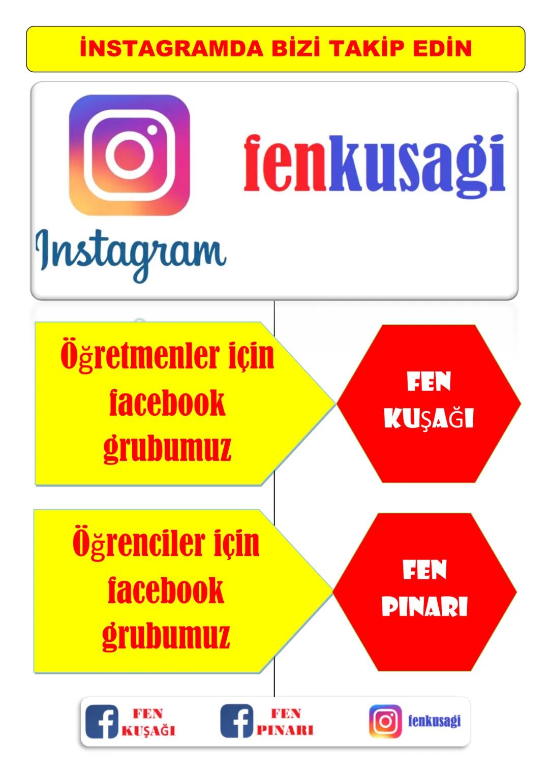 8.SINIF 2. ÜNİTE
DNA VE GENETIK KOD
BİYOTEKNOLOJİ
Biyoteknoloji Nedir?
Ali Hocayla Hadi Fene
www.hadifene.com
Bir dalında erik, diğer da