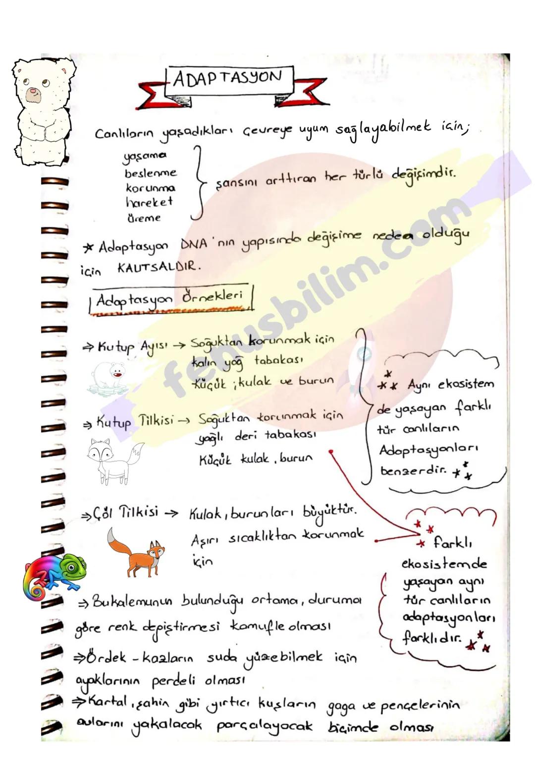 -ADAPTASYON
Canlıların yaşadıkları çevreye uyum sağlayabilmek için;
yaşama
beslenme
korunma
şansını arttıran her türlü değişimdir.
hareket
ŏ