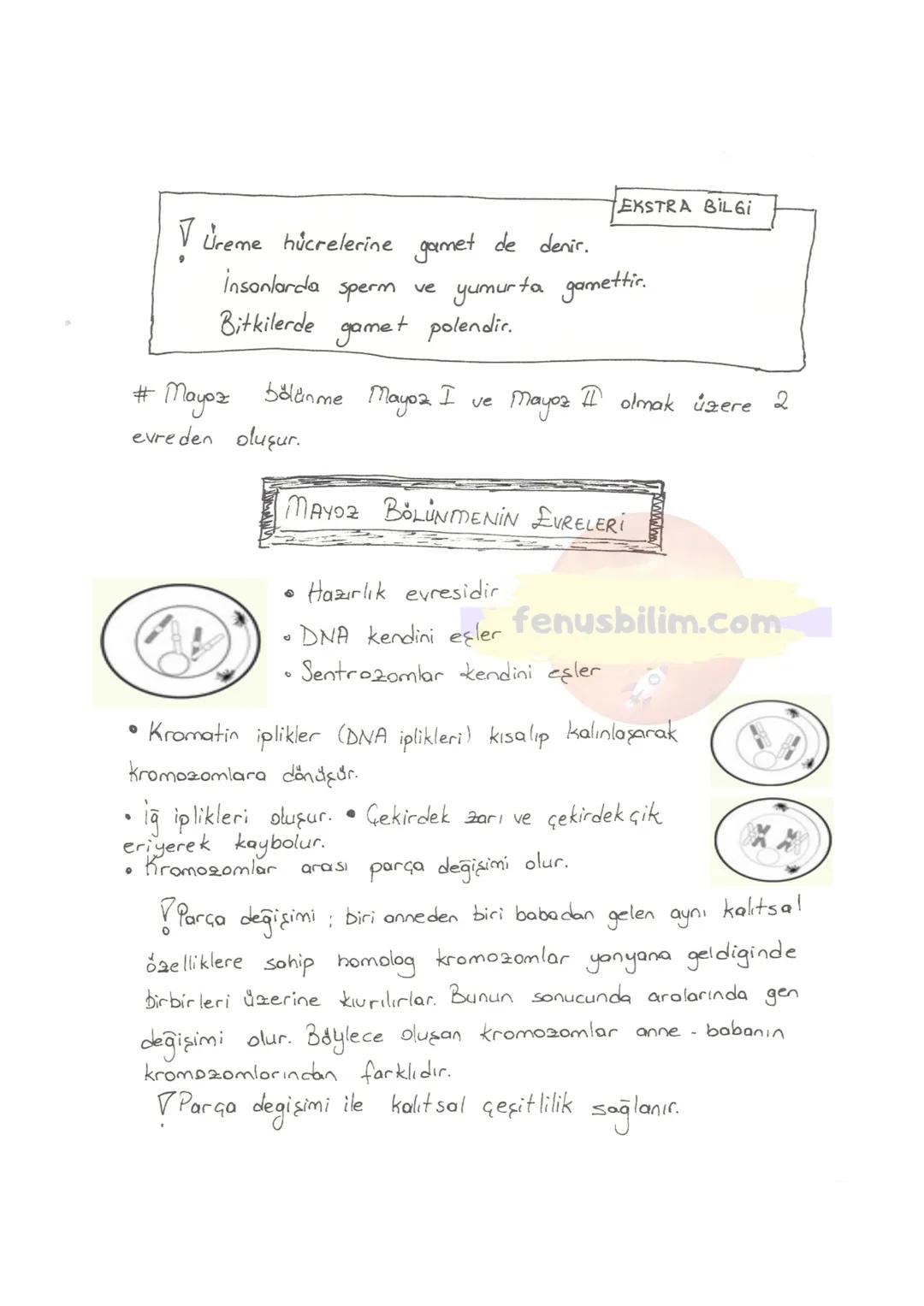 # HÜCRE
✓ Canlıların, Canlılık özelliğini gösteren en küçük yapı ve görev
birimine hücre denir.
✓ Hücreler çok küçük yapılı olduklarından