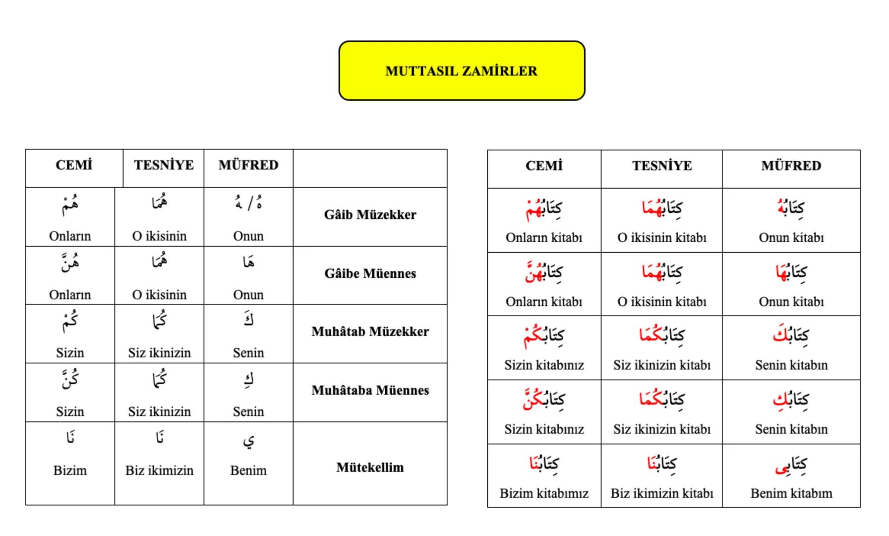 CEMİ
TESNİYE MÜFRED
هُمْ
هما
Onlar
O ikisi
هُنَّ
MUNFASIL ZAMİRLER
Gaib Müzekker
0
هما
هي
Onlar
O ikisi
أَنْتُمْ
أنْتُما
Siz
Siz ikiniz
أَنْ