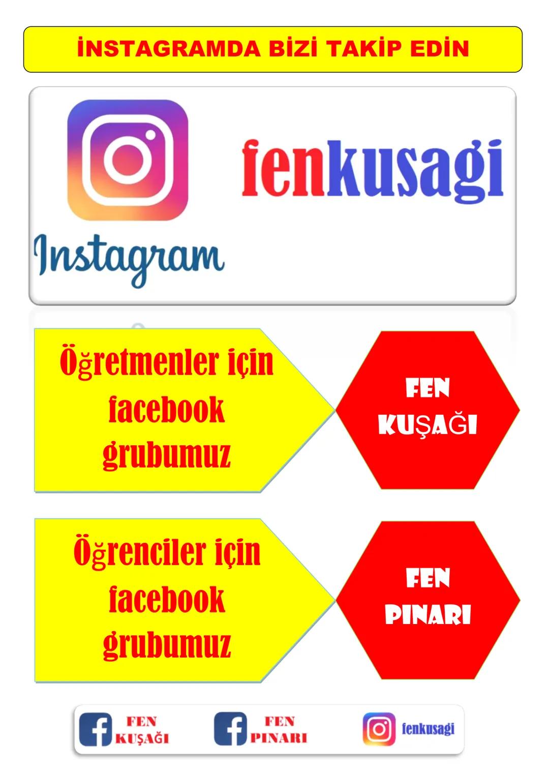 8.SINIF 2.ÜNİTE
DNA VE GENETİK KOD
KALITIM
Ali Hocayla Hadi Fene
www.hadifene.com
KALITIMLA İLGİLİ BAZI KAVRAMLAR
Canlılarda çeşitliliğe ned