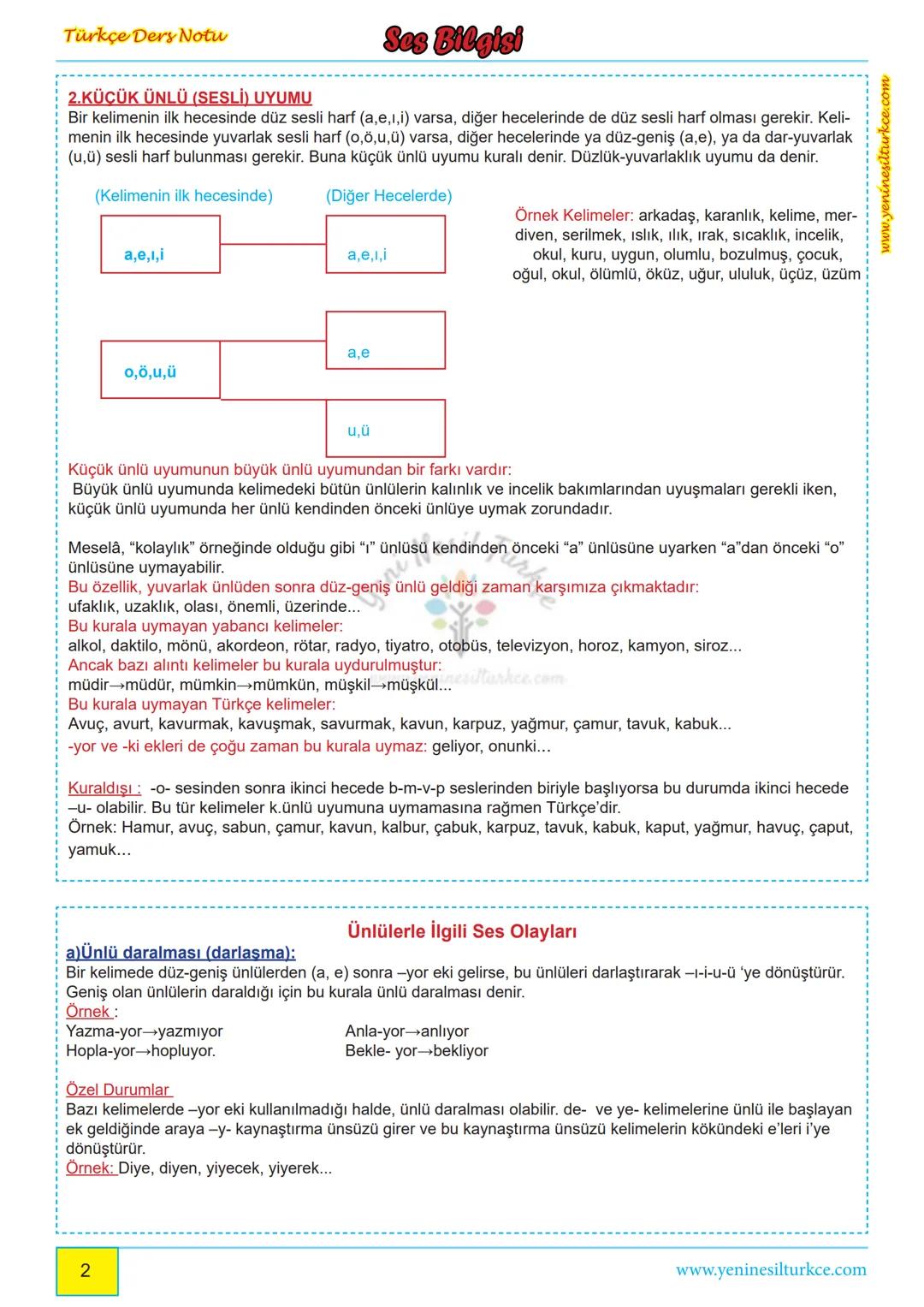 # Türkçe Ders Notu
www.yeninesilturkce.com
## Ses Bilgisi
Dilin en küçük birimine ses, sesleri göstermek için kullanılan işaretlere harf,