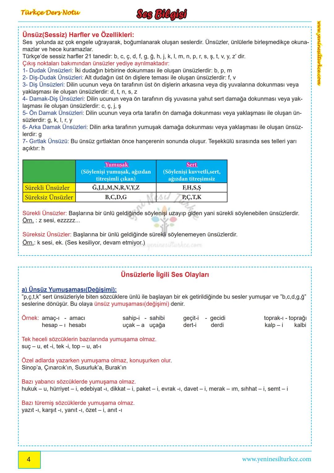 # Türkçe Ders Notu
www.yeninesilturkce.com
## Ses Bilgisi
Dilin en küçük birimine ses, sesleri göstermek için kullanılan işaretlere harf,