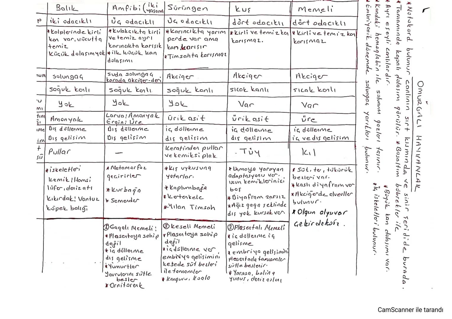 CANLILAR DÜNYASI
Canlıların Çeşitliliği ve Sınıflandırılması:
* Canlıları belirli kriterlere göre gruplandıran, evrimsel geçmişleri.
ve gene