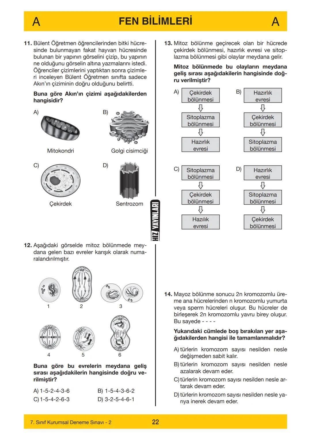 7. SINIF
Adı
7. SINIF
DENEME SINAVI - 2
A
KİTAPÇIĞI
Soyadı
Öğrenci Numarası :.....
--------……………
SINAV KİTAPÇIĞIMIZ "SÖZEL VE SAYISAL" OLMAK