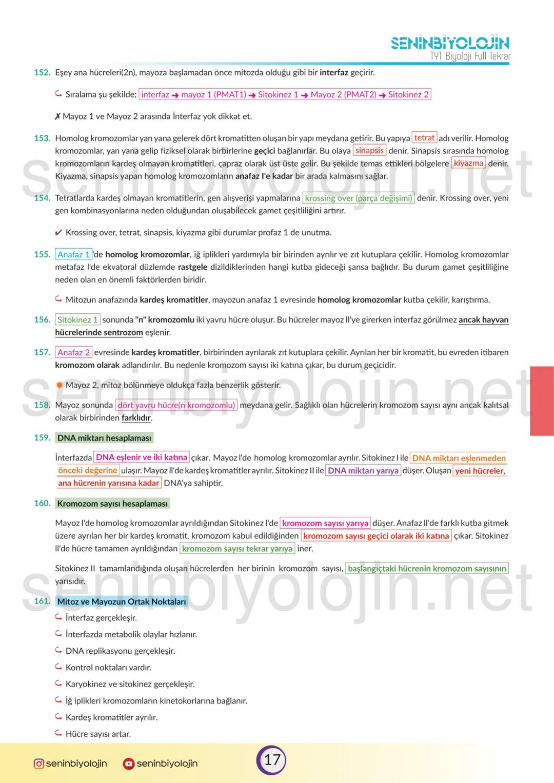 SENINBIYOLOJIN
TYT Biyoloji Full Tekrar
Bu seri TYT ile ilgili önemli olan kısımları "spot bilgi" olarak vermeyi amaçlamaktadır. Serinin fay