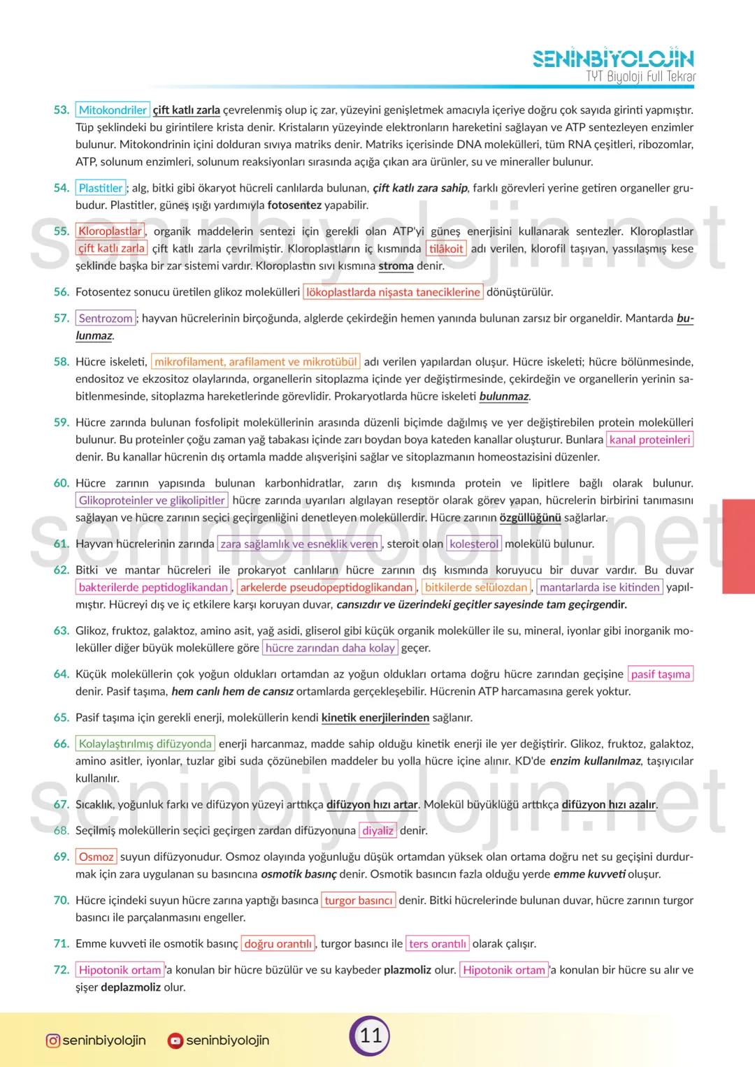 SENINBIYOLOJIN
TYT Biyoloji Full Tekrar
Bu seri TYT ile ilgili önemli olan kısımları "spot bilgi" olarak vermeyi amaçlamaktadır. Serinin fay